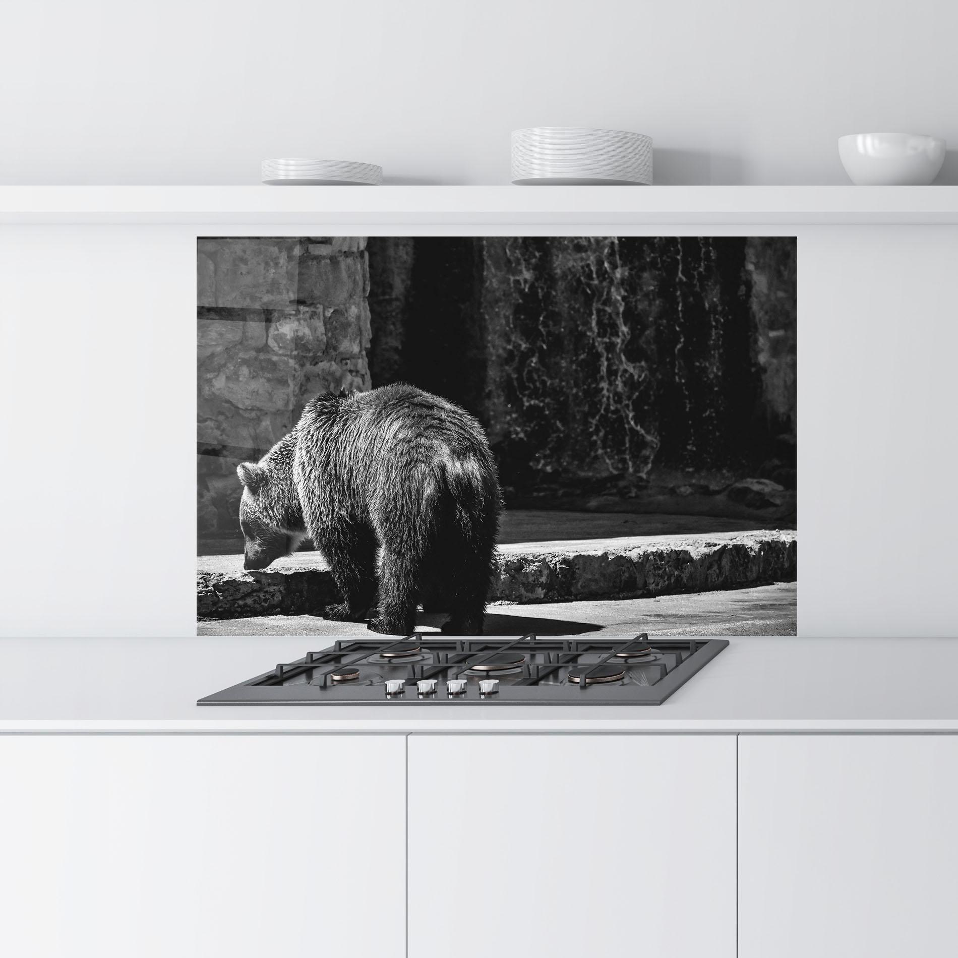 Panou Sticla Bucatarie Grey Bear mockup 9
