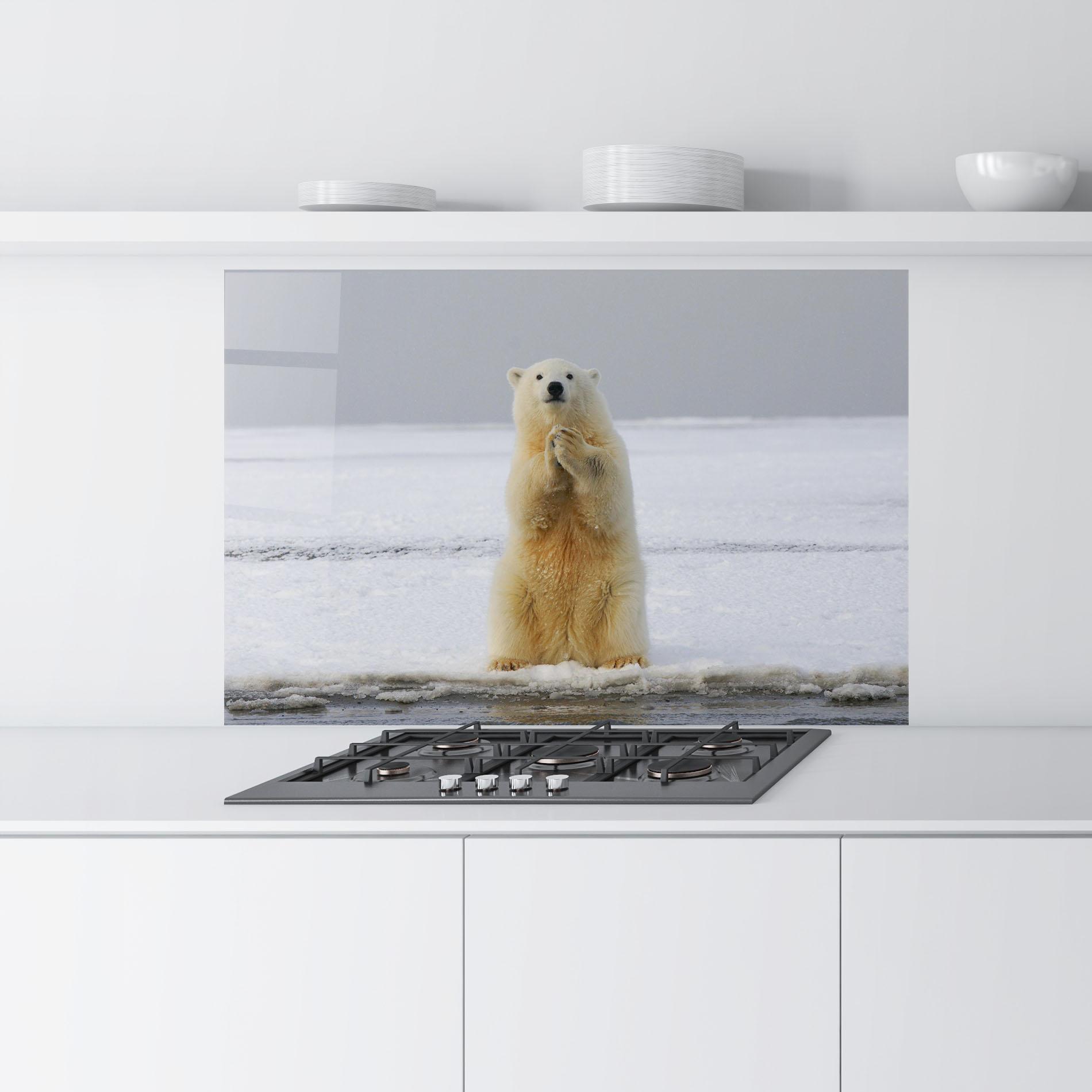 Panou Sticla Bucatarie Icebear Praying mockup 9