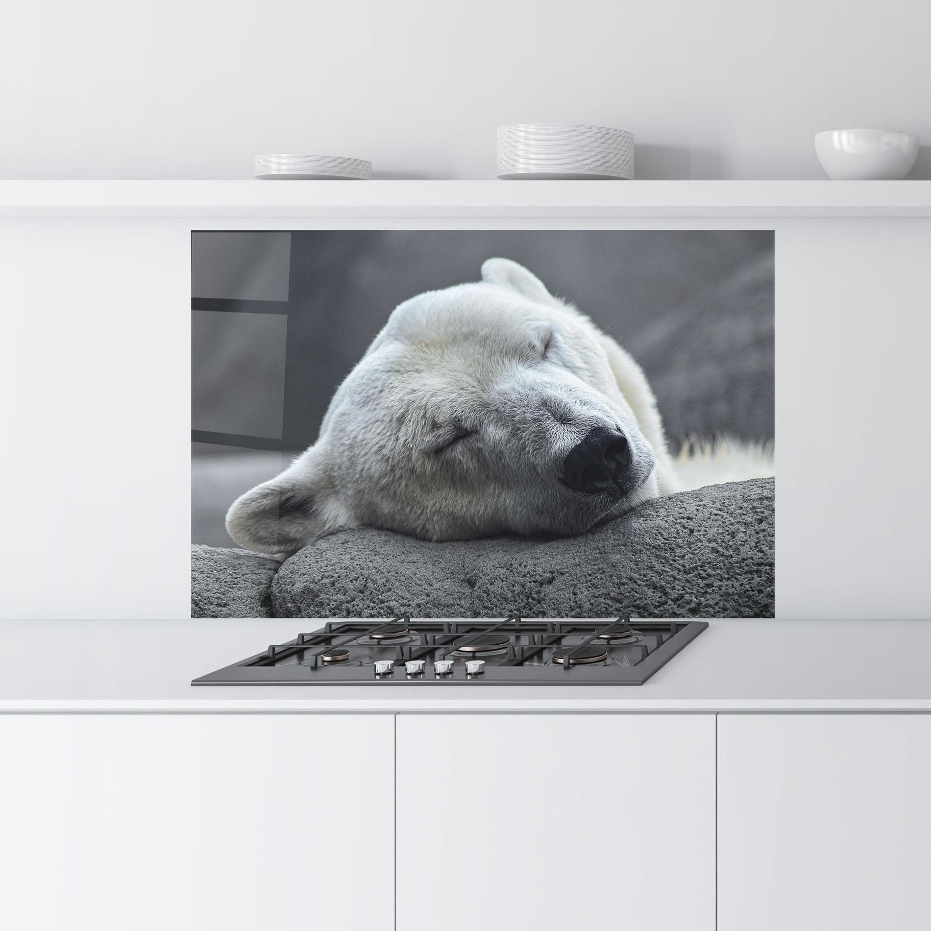 Panou Sticla Bucatarie Icebear Sleeping mockup 9