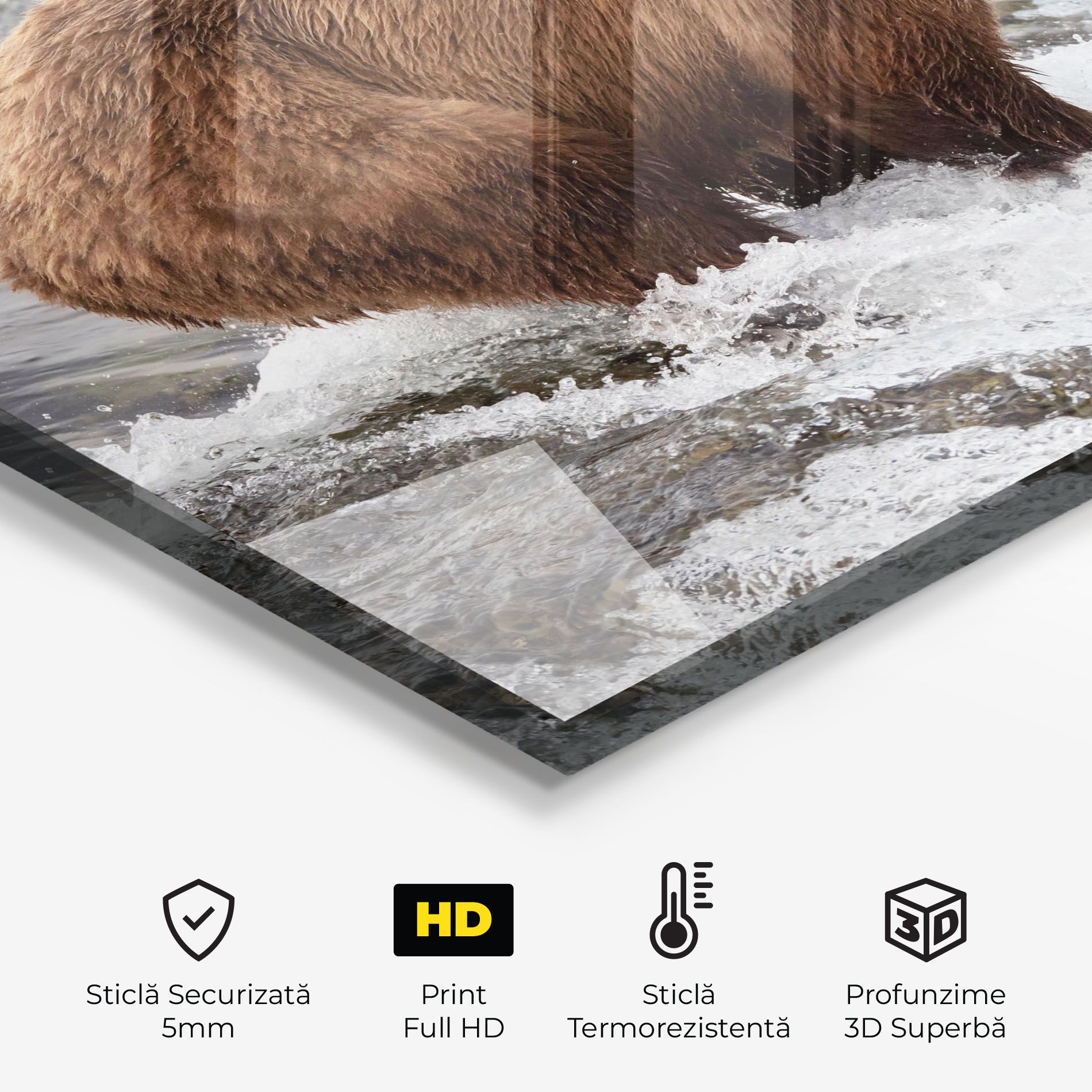 Bear Hunting mockup 2