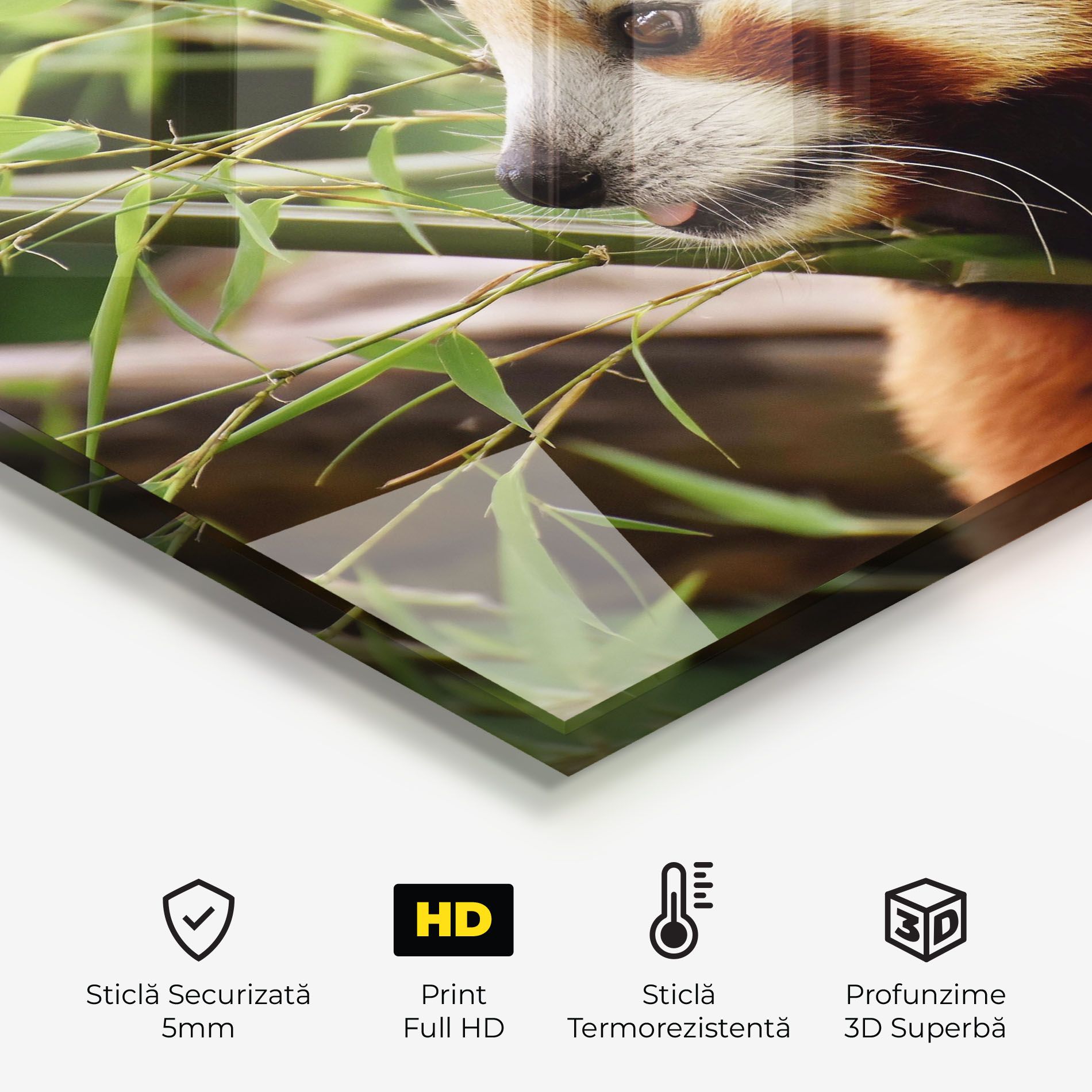 Cute Red Panda mockup 2