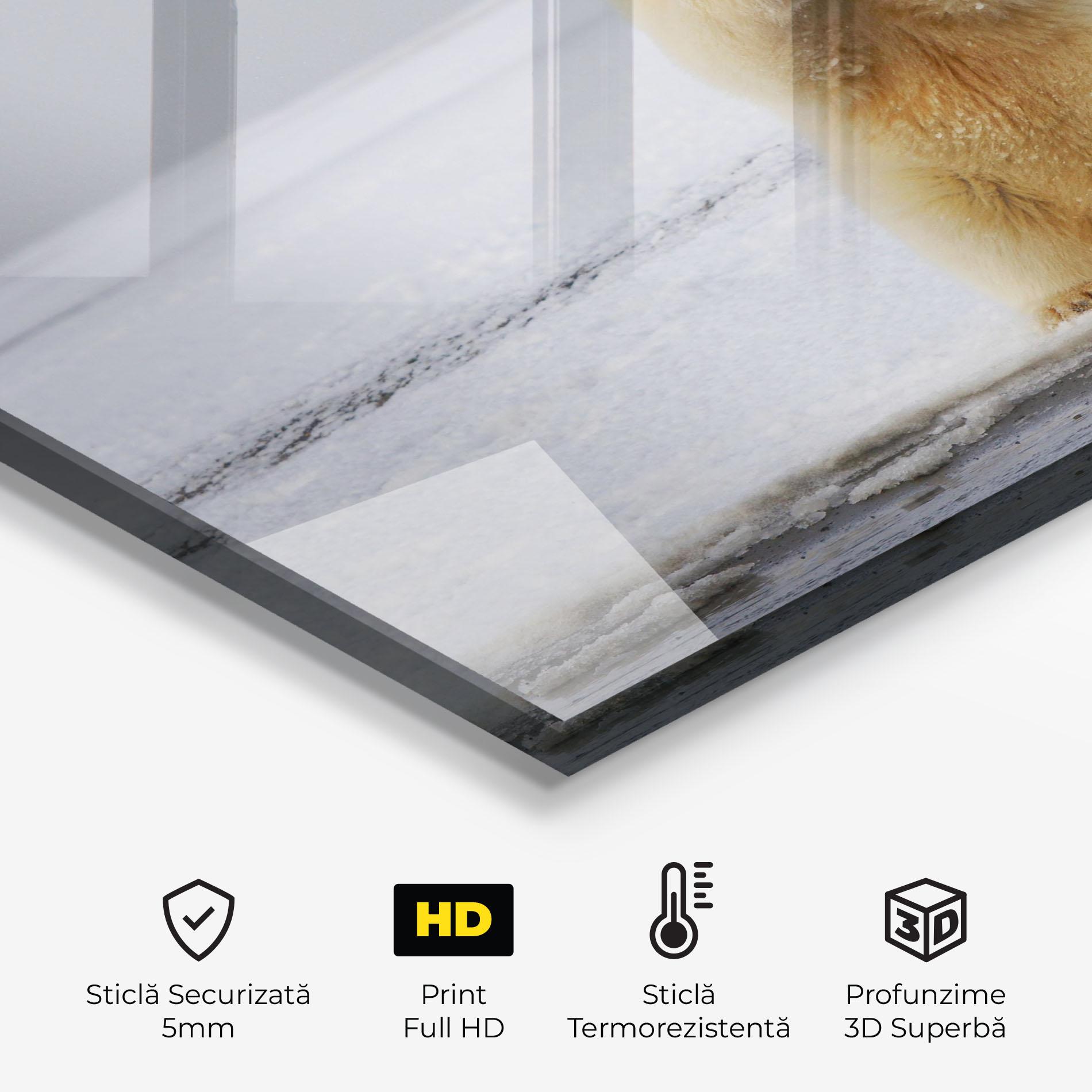 Panou Sticla Bucatarie Icebear Praying mockup 2