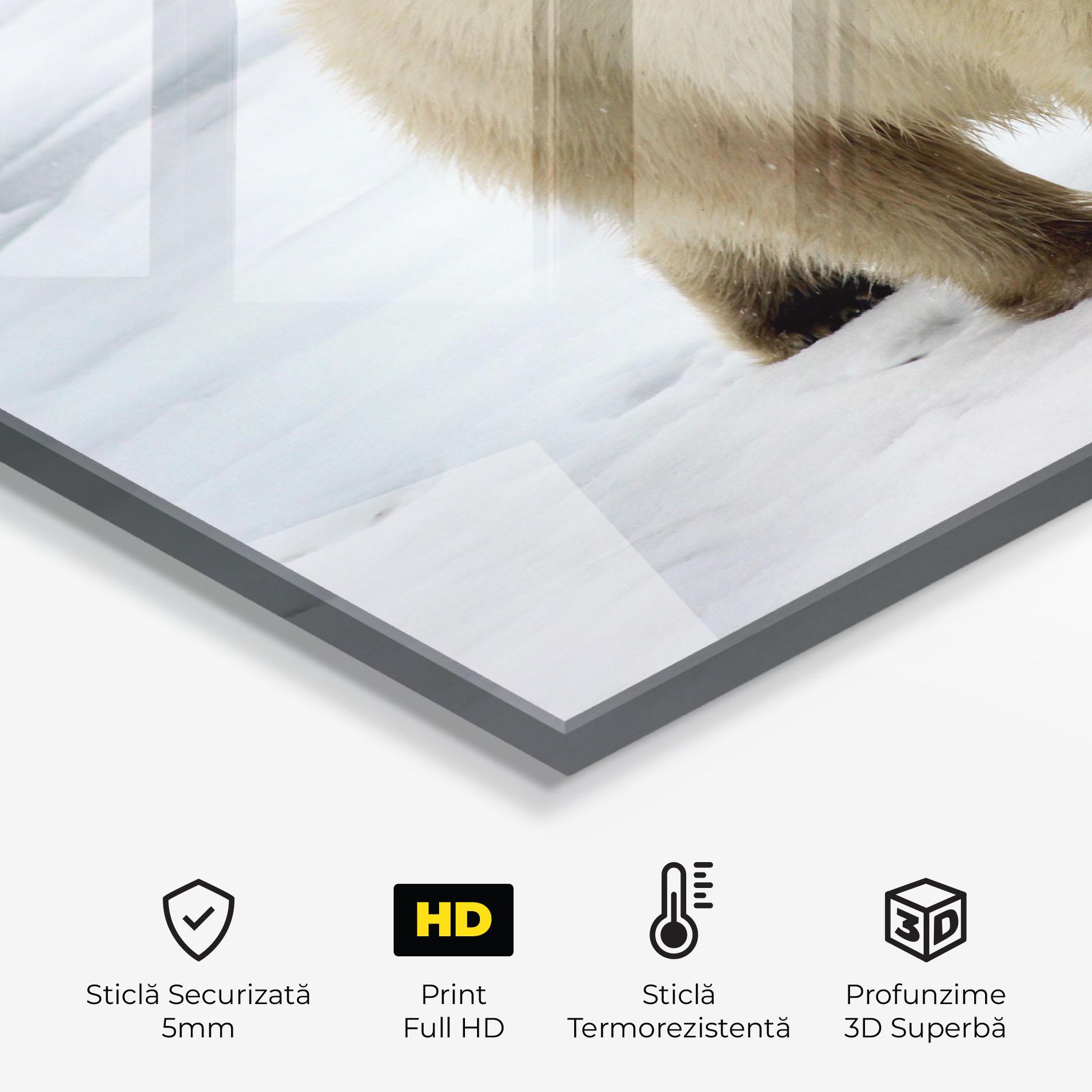 Panou Sticla Bucatarie Icebear Walking mockup 2