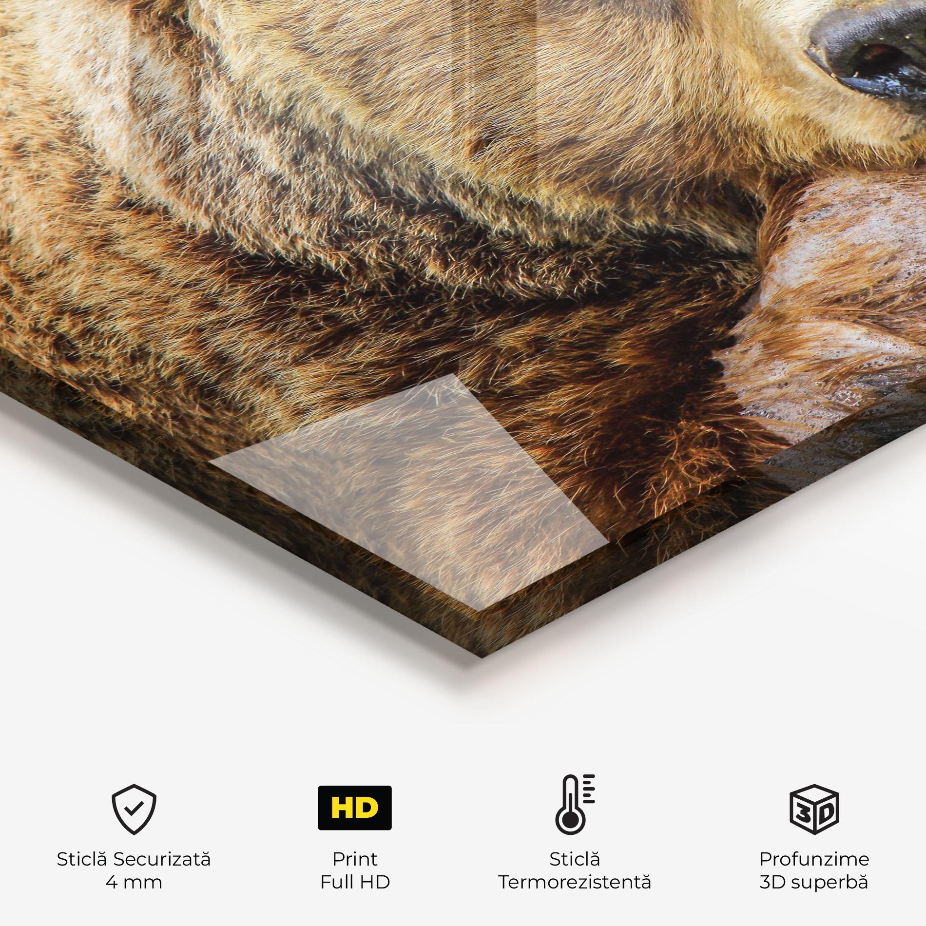 Panou Sticla Bucatarie Bear mockup 2