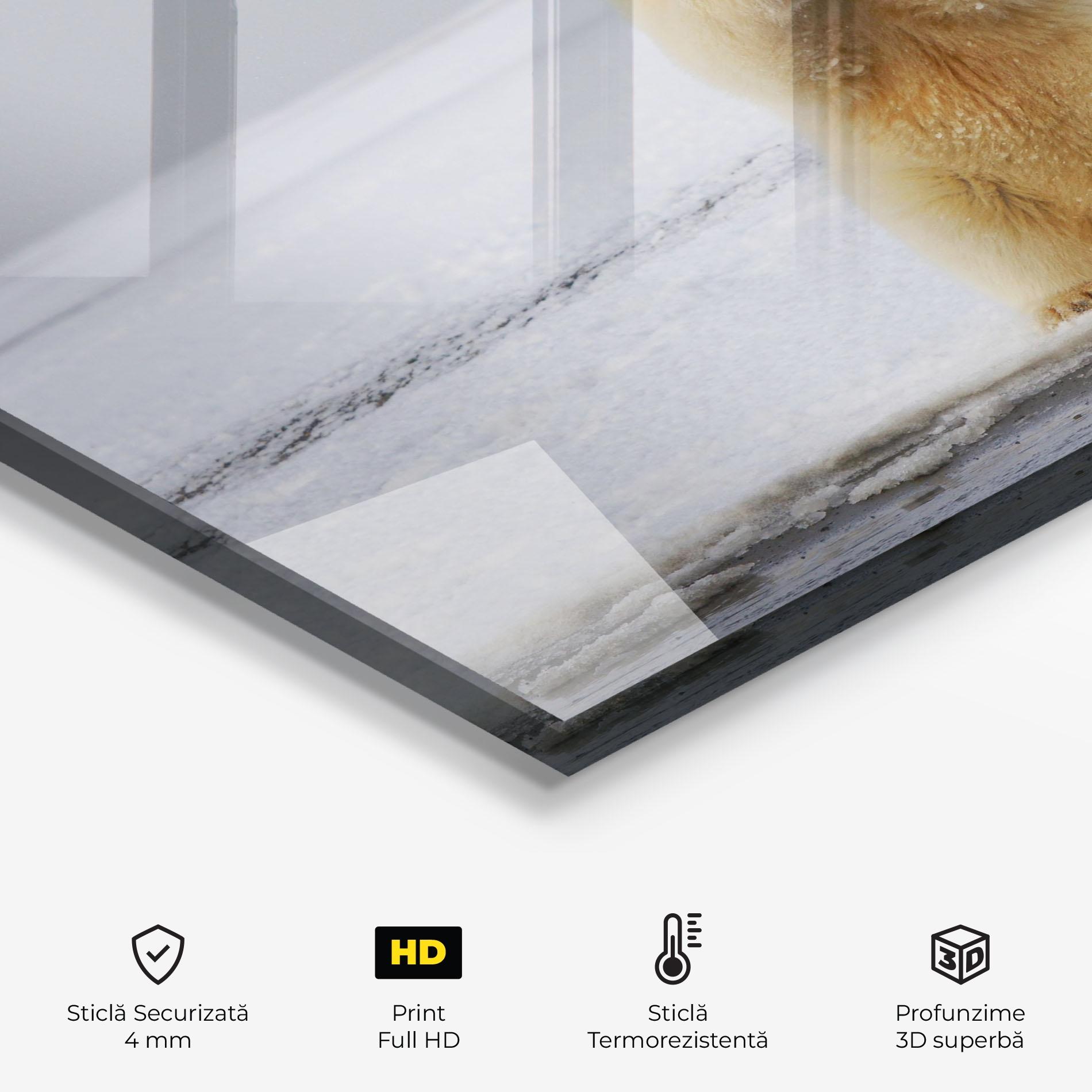 Panou Sticla Bucatarie Icebear Praying mockup 2