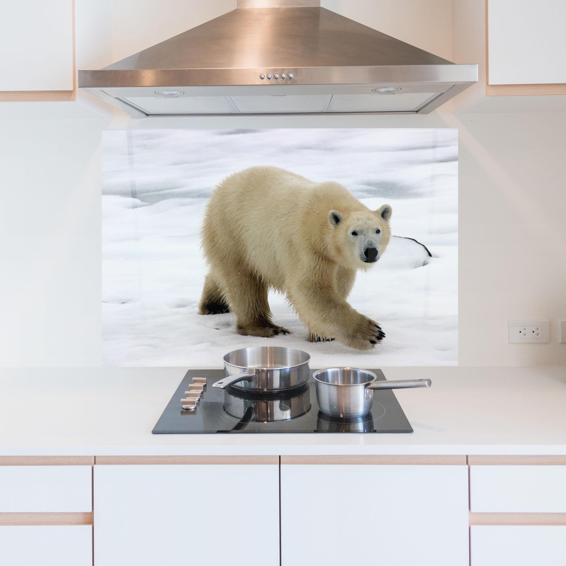 Panou Sticla Bucatarie Icebear Walking mockup 5
