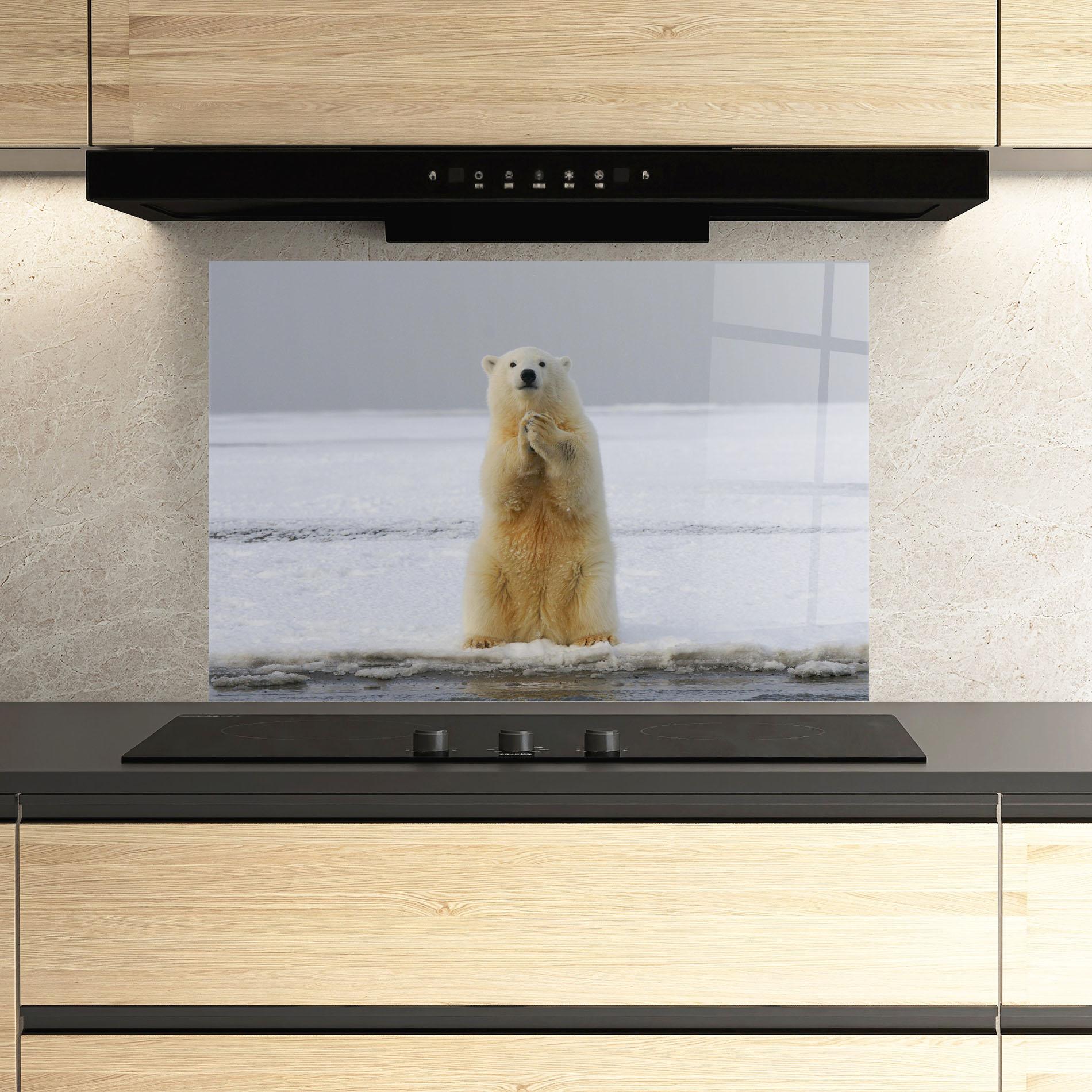 Panou Sticla Bucatarie Icebear Praying mockup 3