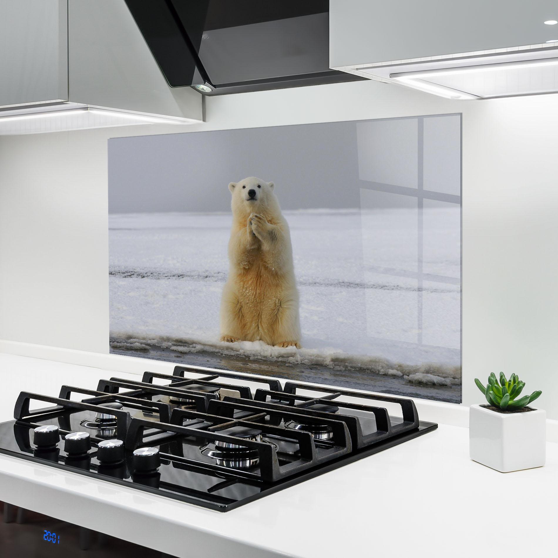 Panou Sticla Bucatarie Icebear Praying mockup 6