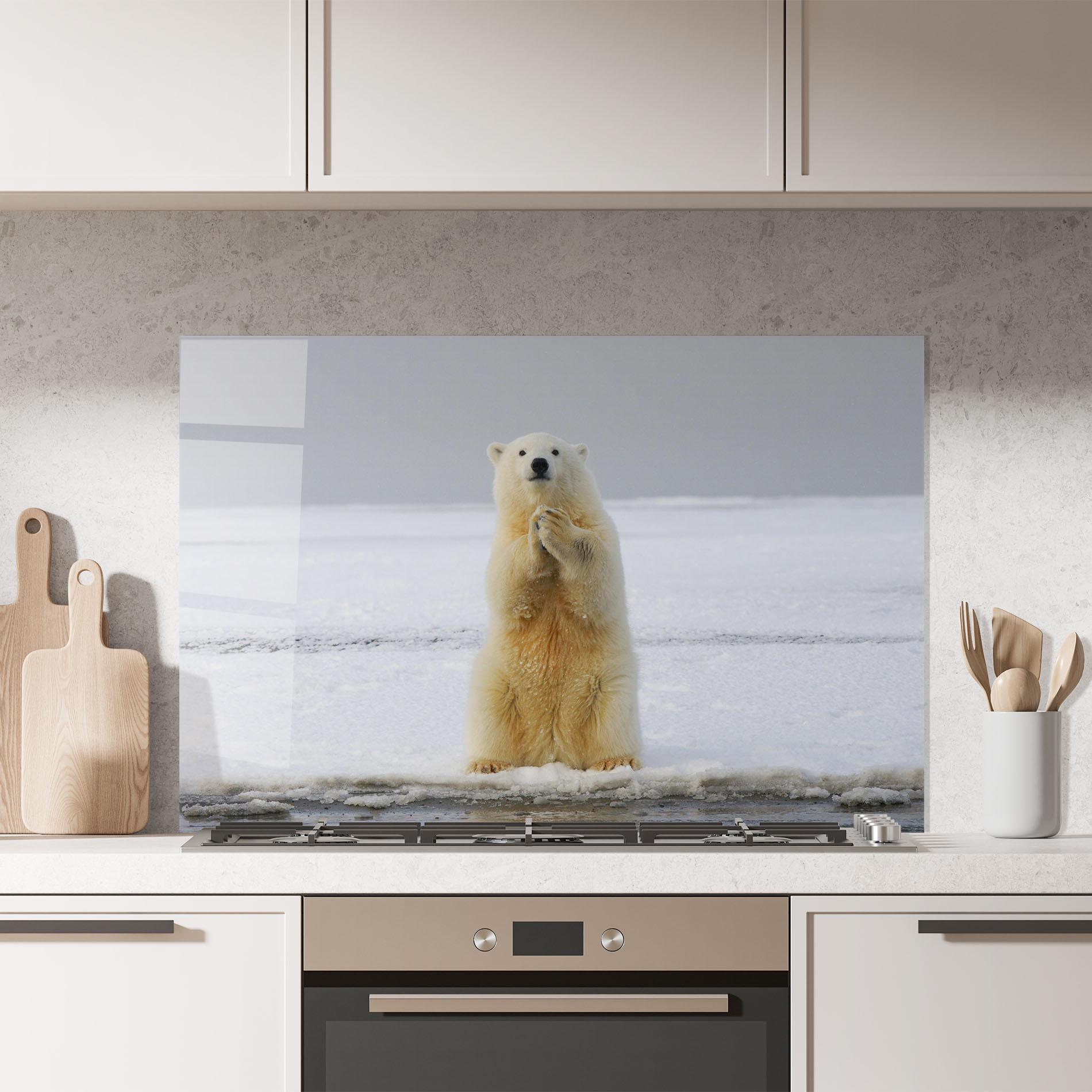 Panou Sticla Bucatarie Icebear Praying mockup 7