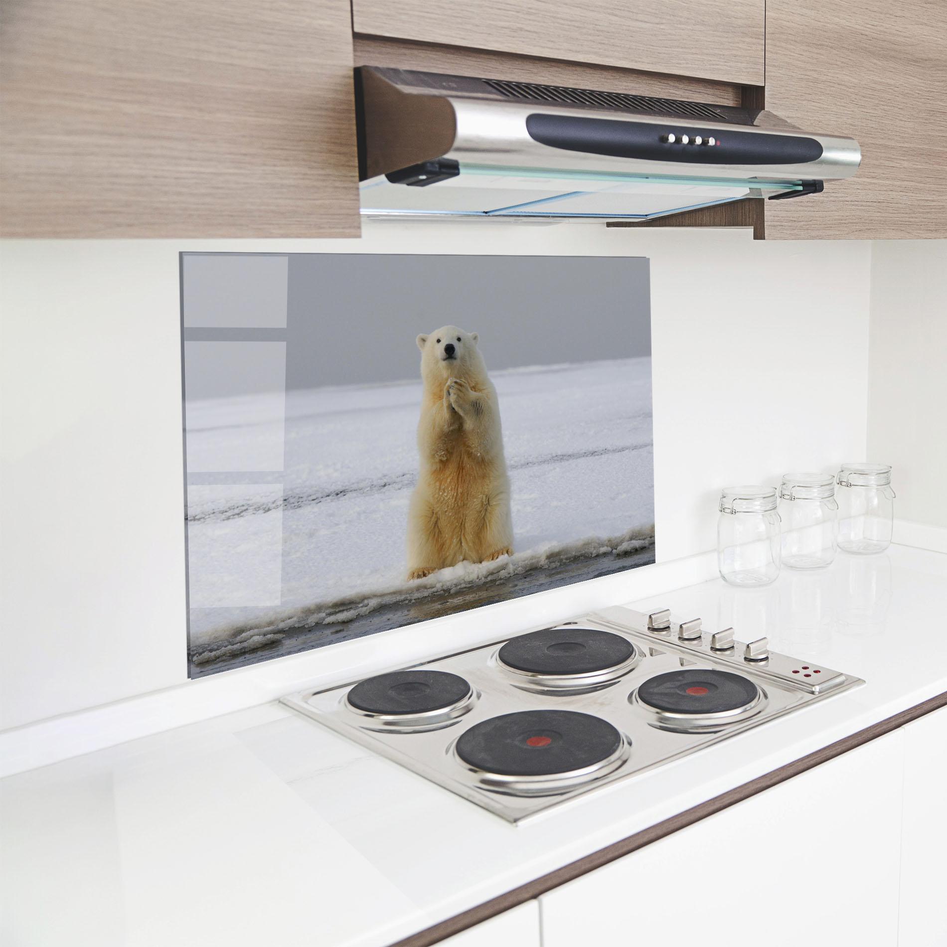 Panou Sticla Bucatarie Icebear Praying mockup 8