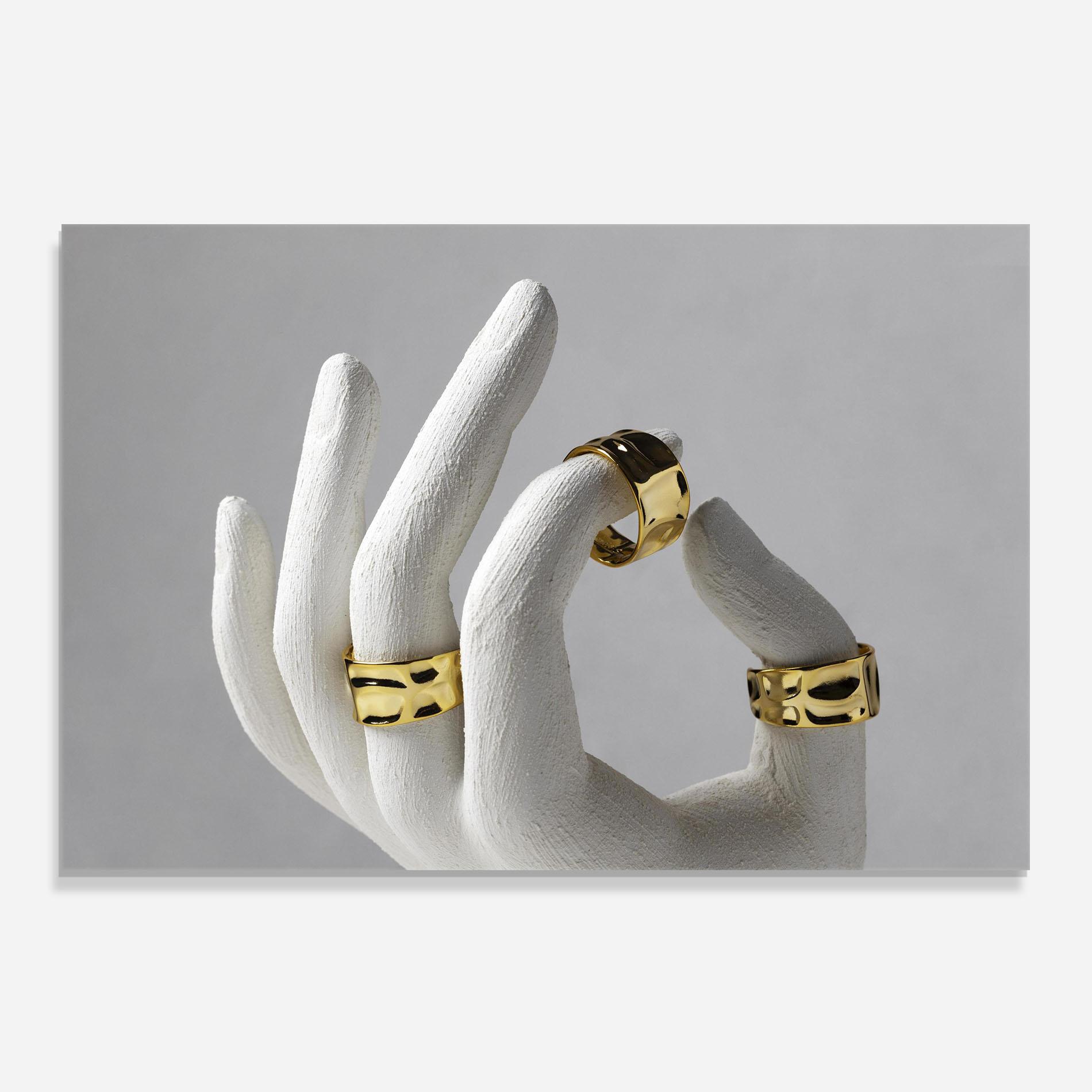 Panou Sticla Bucatarie Stand Display Rings mockup 0