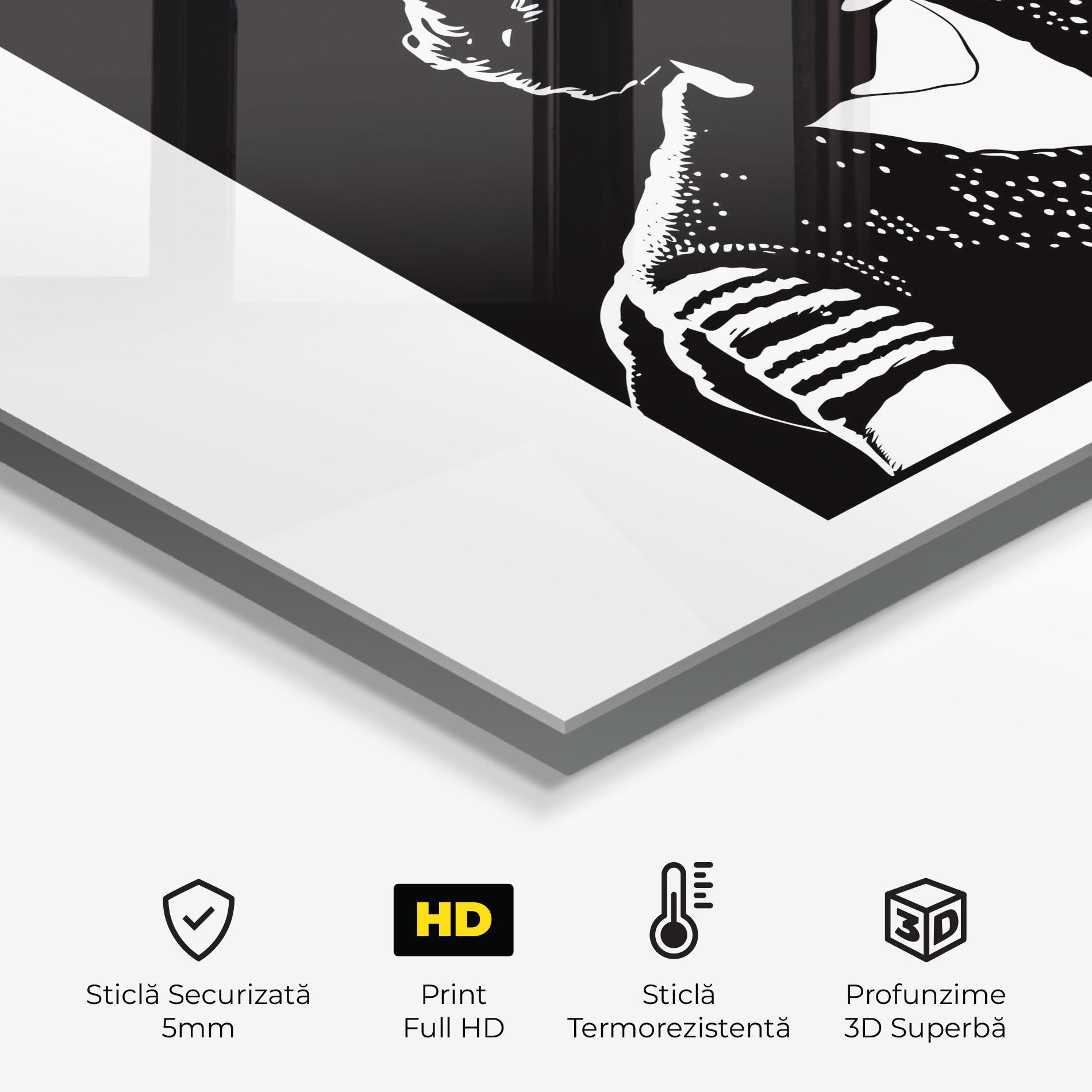 Panou Sticla Bucatarie Retro Woman mockup 2