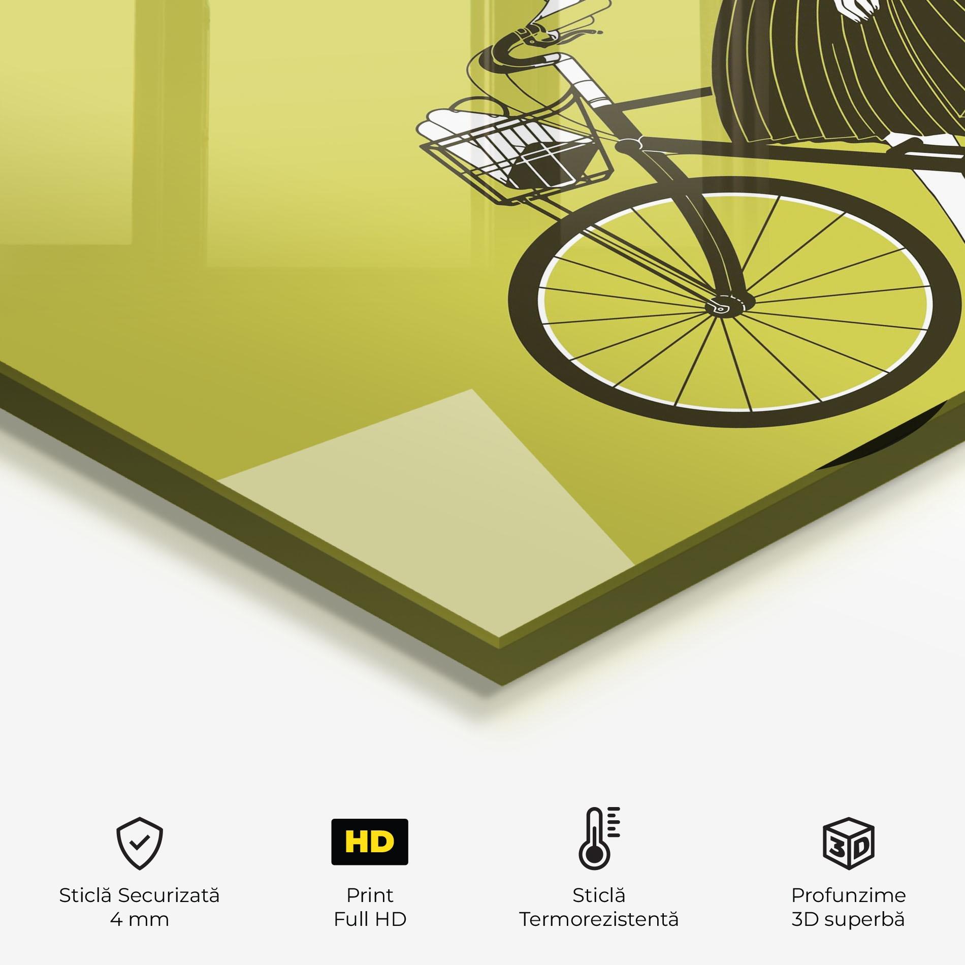 Panou Sticla Bucatarie Vintage Bicycle mockup 2