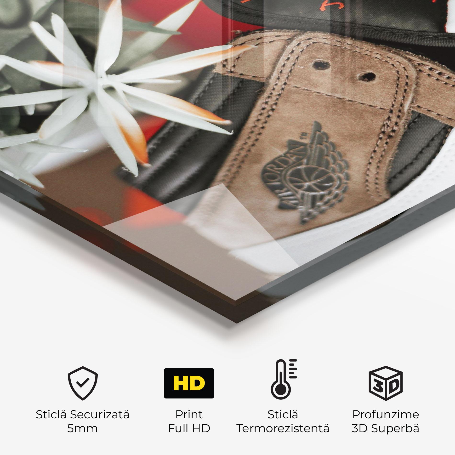 Panou Sticla Bucatarie Brown Air Jordan mockup 2