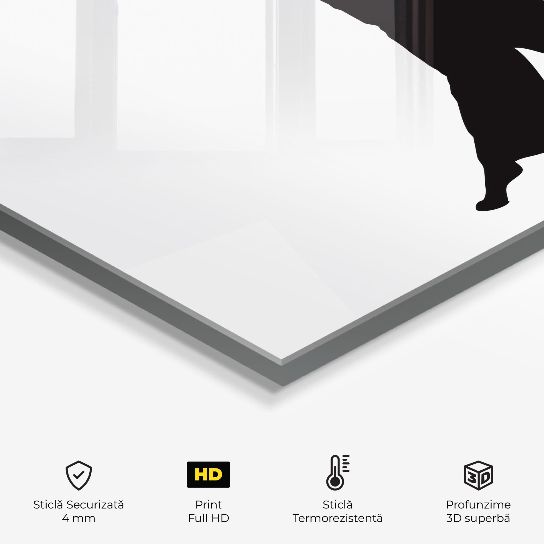 Panou Sticla Bucatarie Dance Silhouette mockup 2