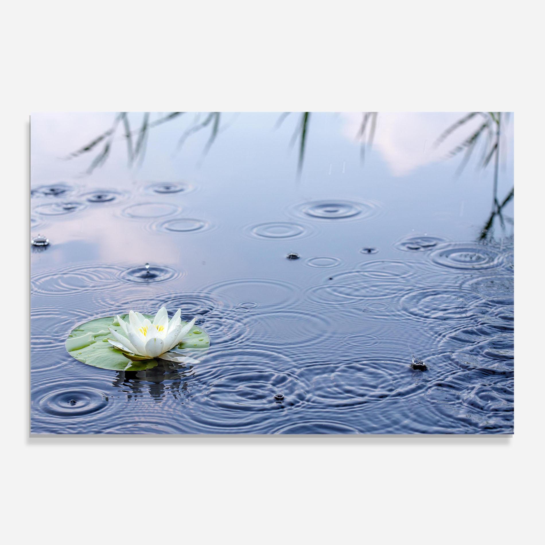 Panou Sticla Bucatarie Clear Lake Rain mockup 0