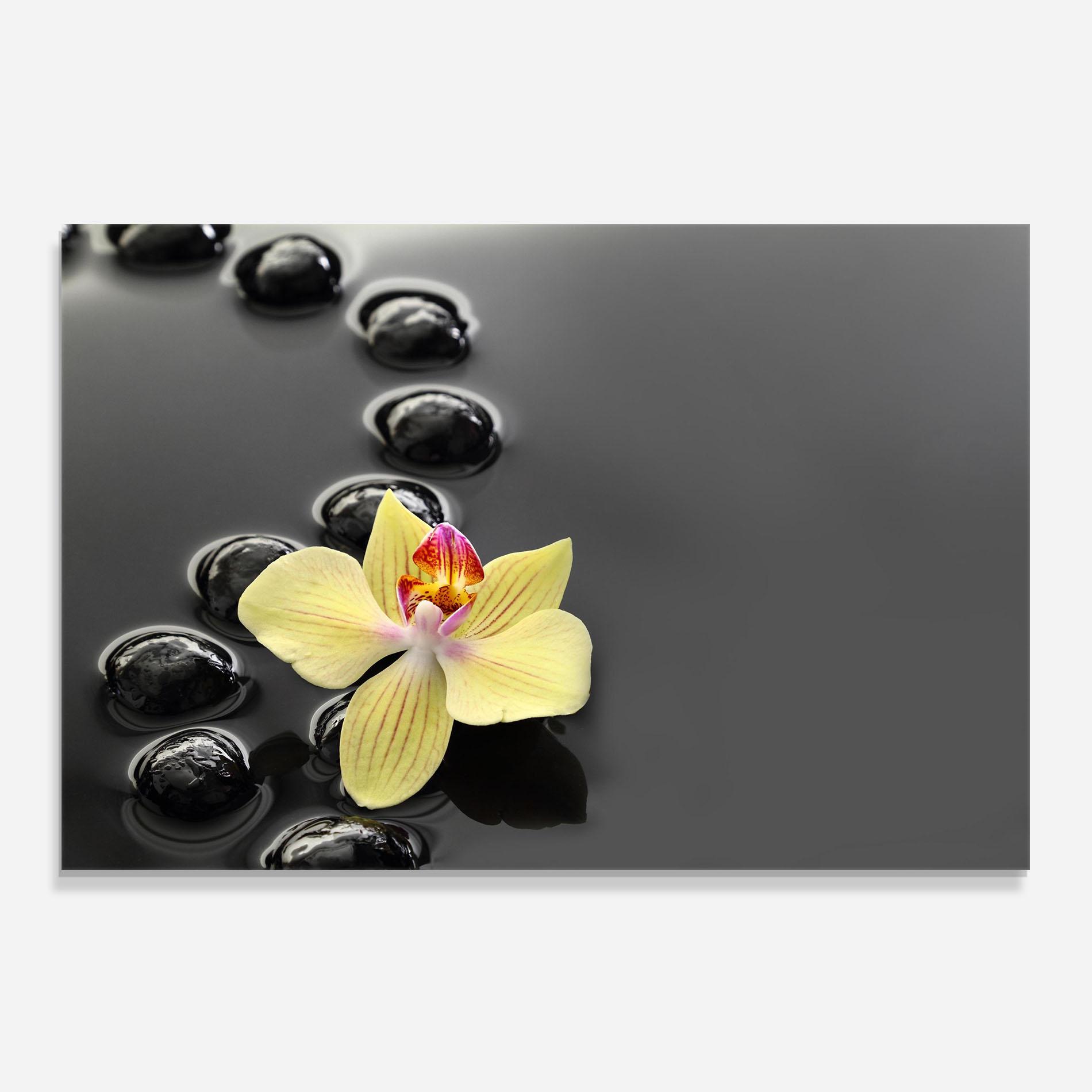 Panou Sticla Bucatarie Orchid In Water mockup 0