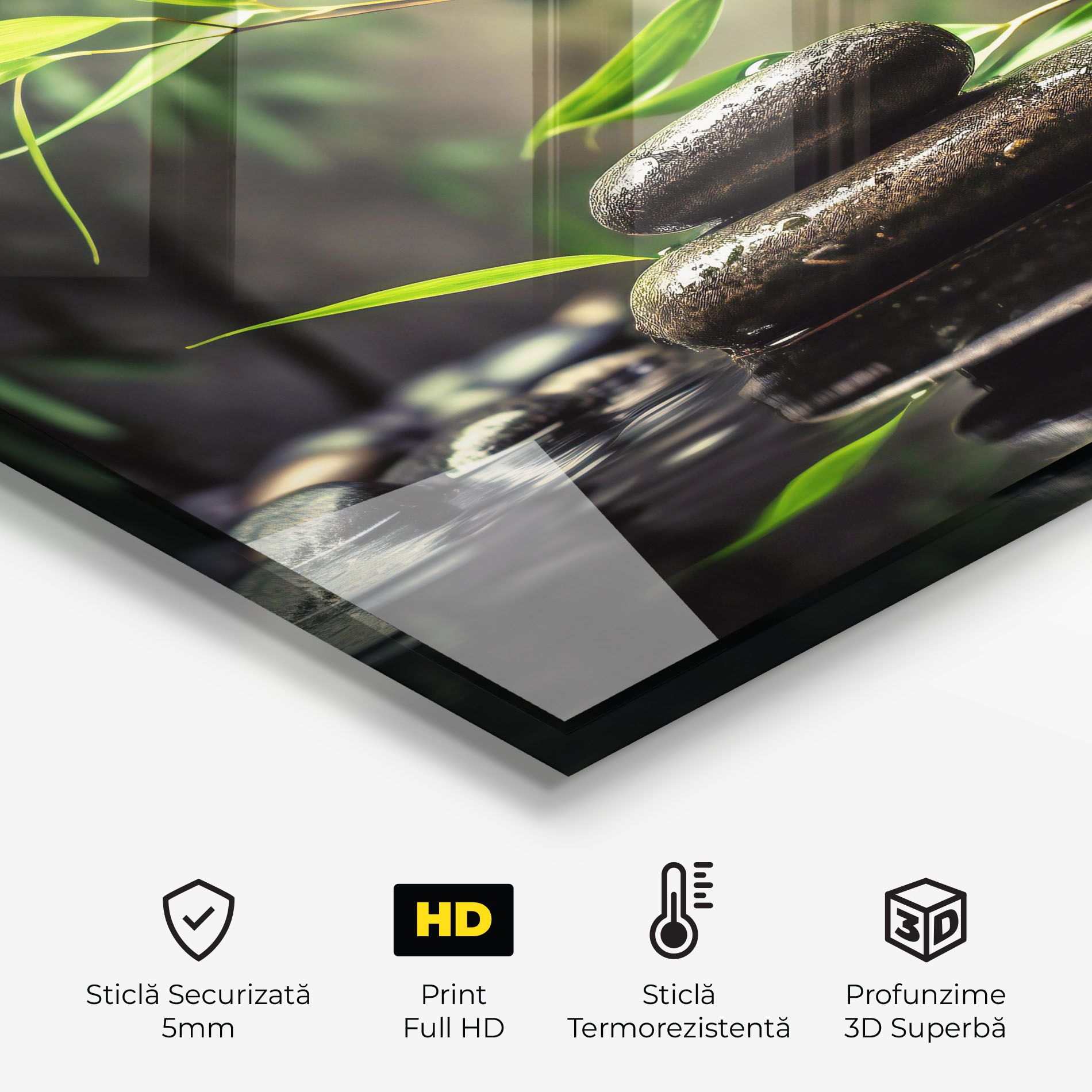 Bamboo Plant Water mockup 2