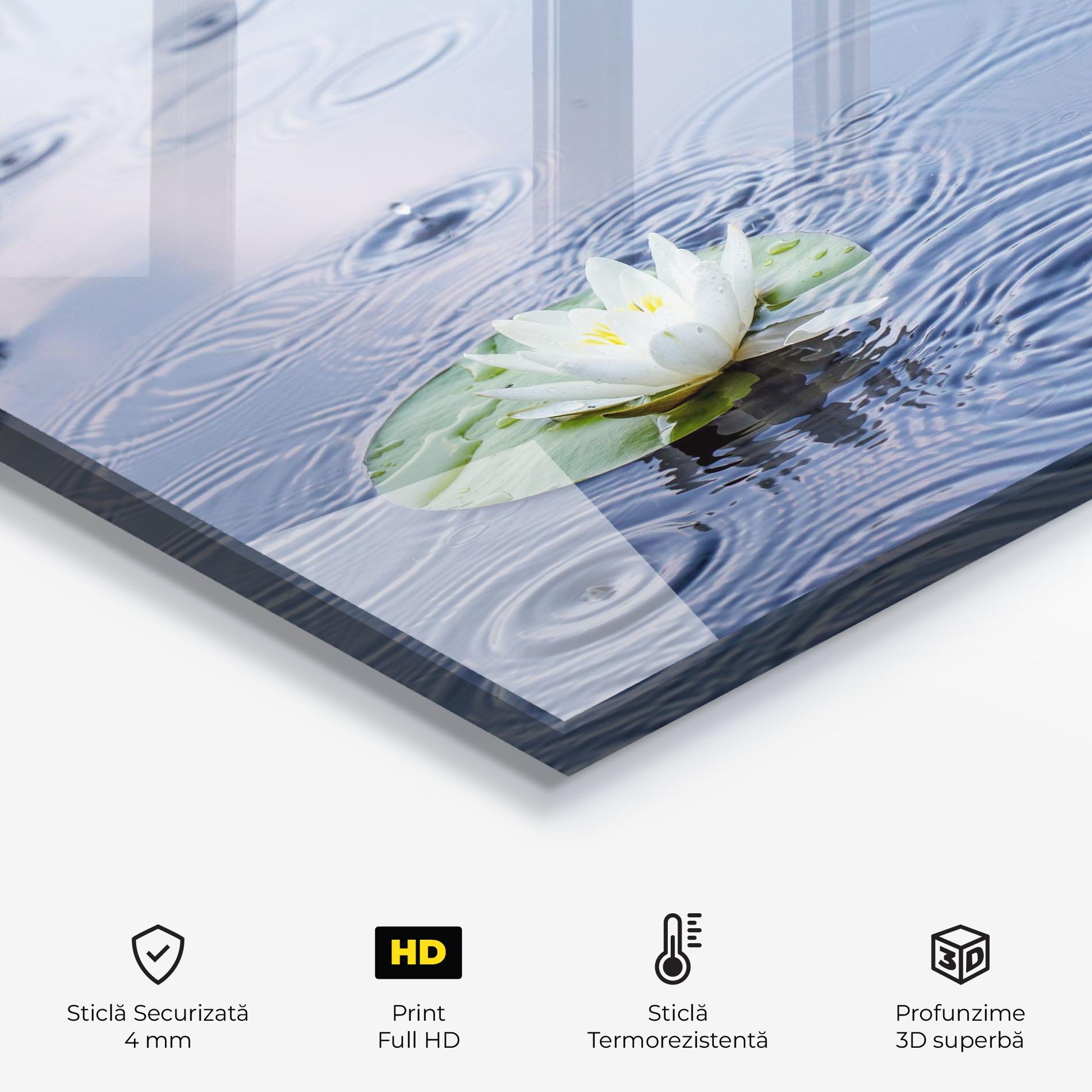 Panou Sticla Bucatarie Clear Lake Rain mockup 2