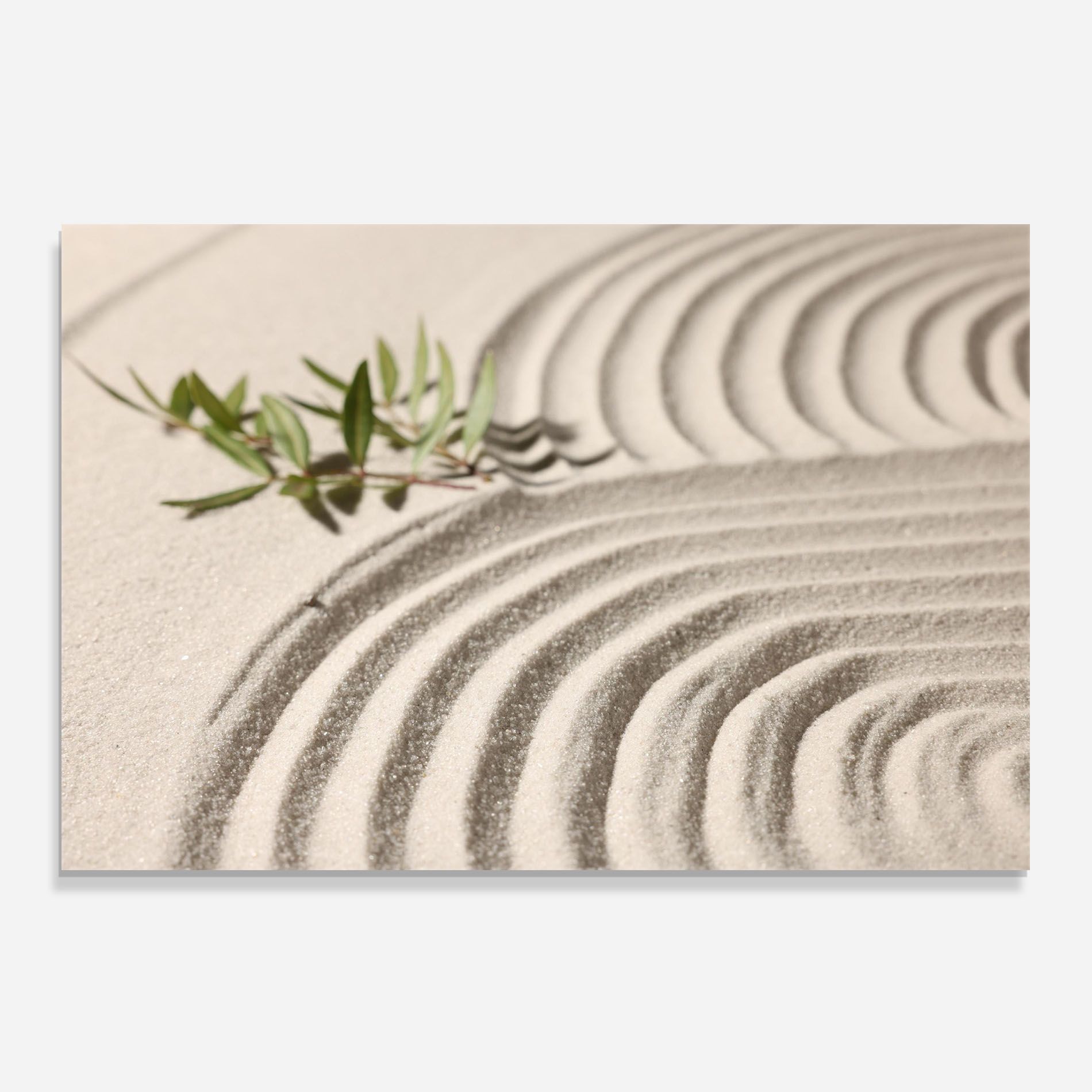 Cream Zen Garden mockup 0