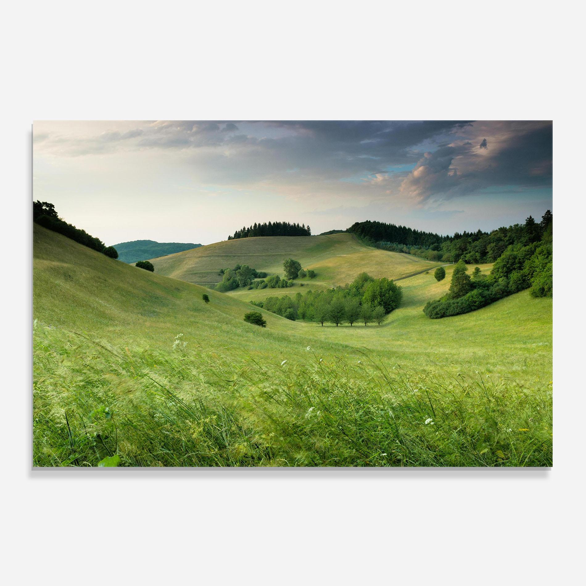 Panou Sticla Bucatarie Green Field View mockup 0