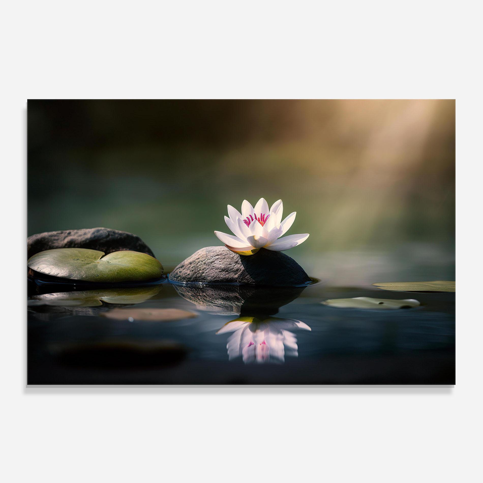 Panou Sticla Bucatarie Grey Rock Lotus mockup 0