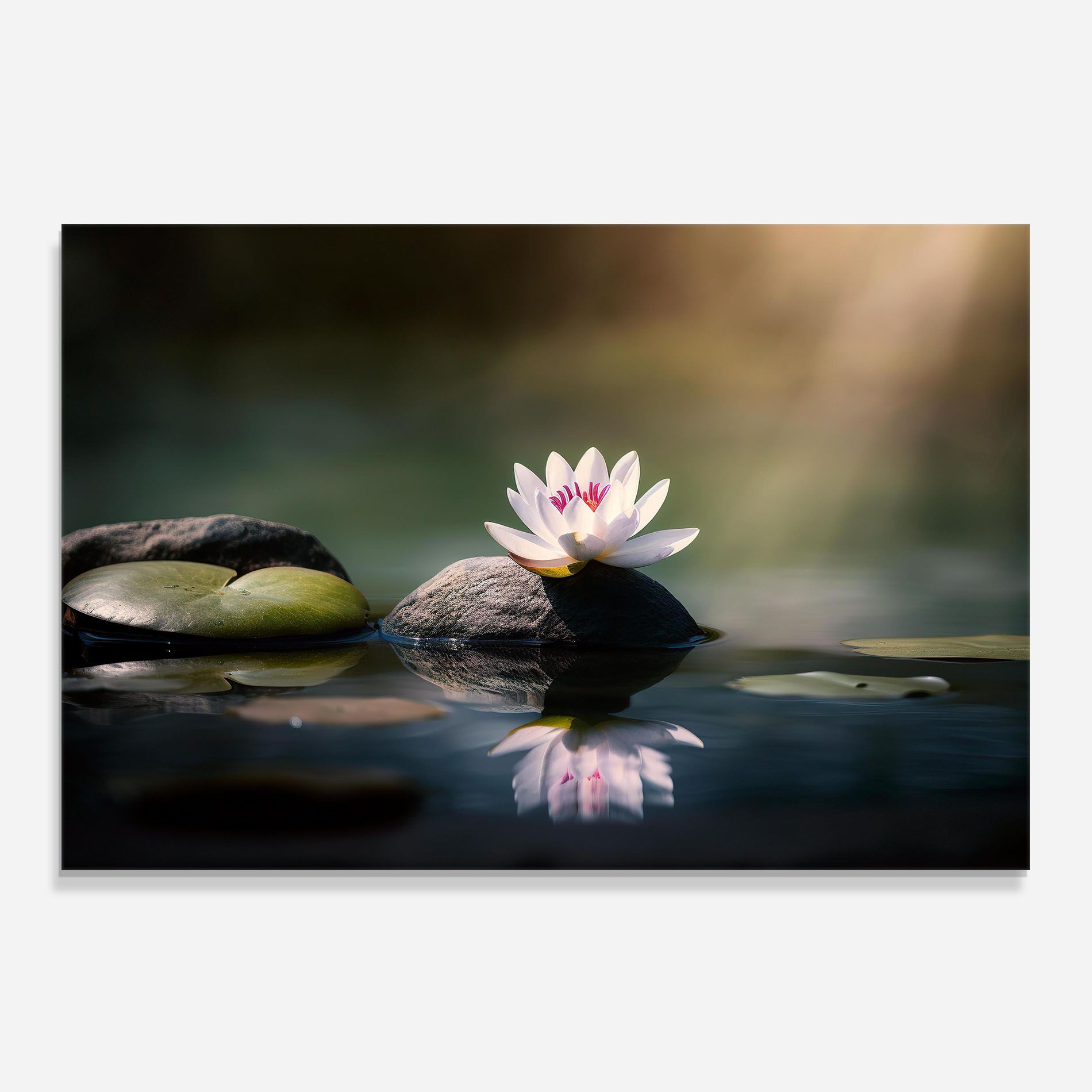 Grey Rock Lotus mockup 0