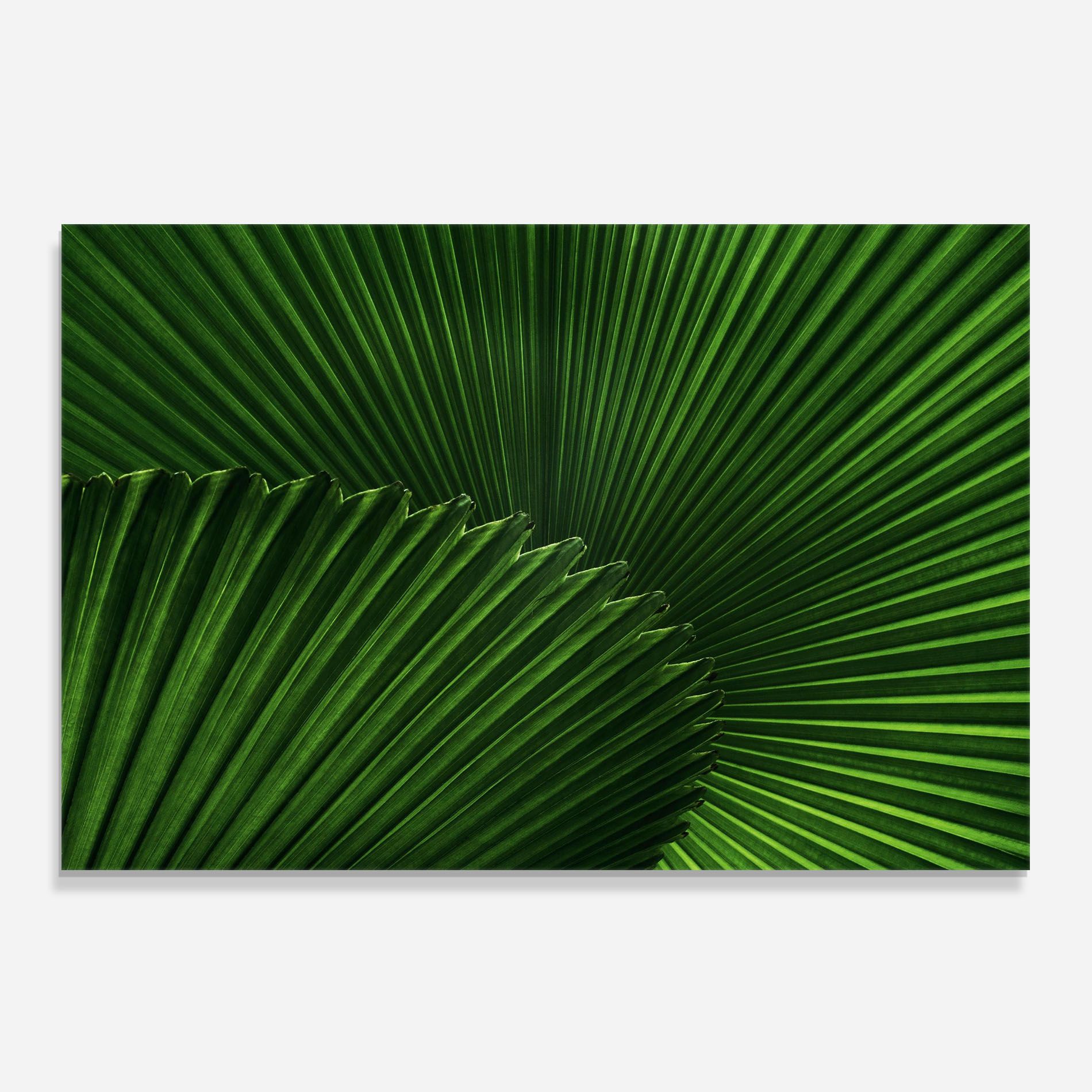 Strong Green Leaf Art mockup 0