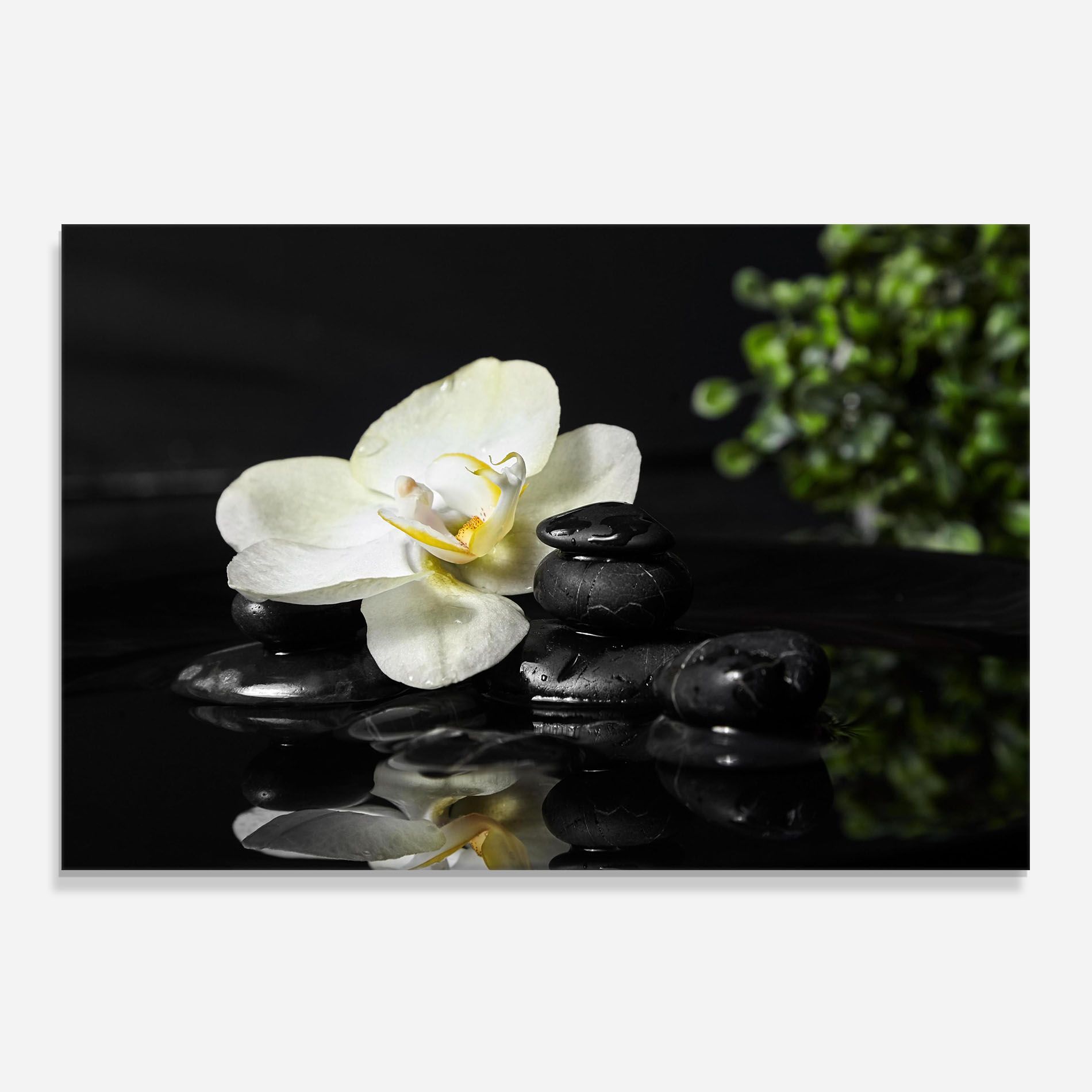 White Spa Flower mockup 0