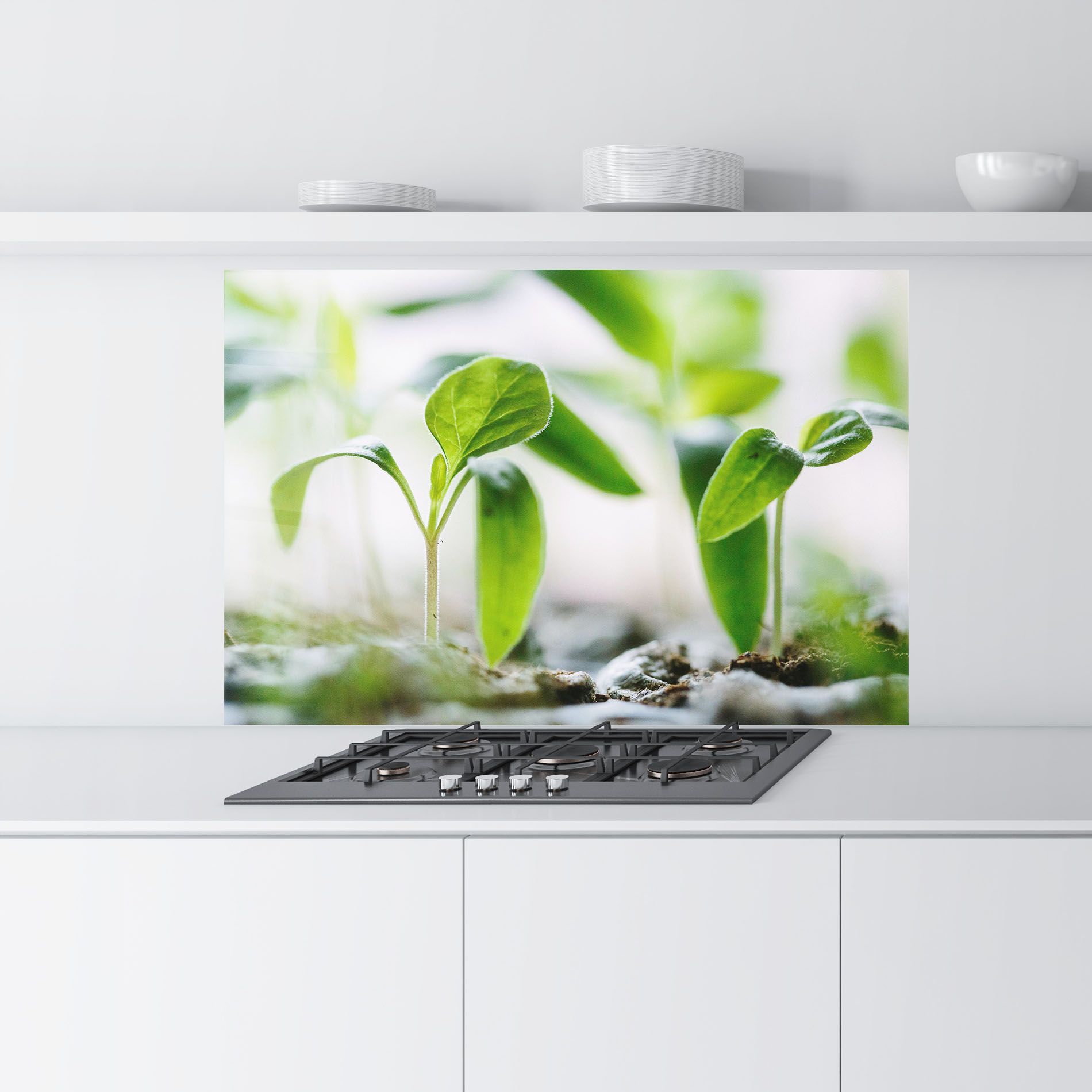 Pretty Green Plant mockup 9