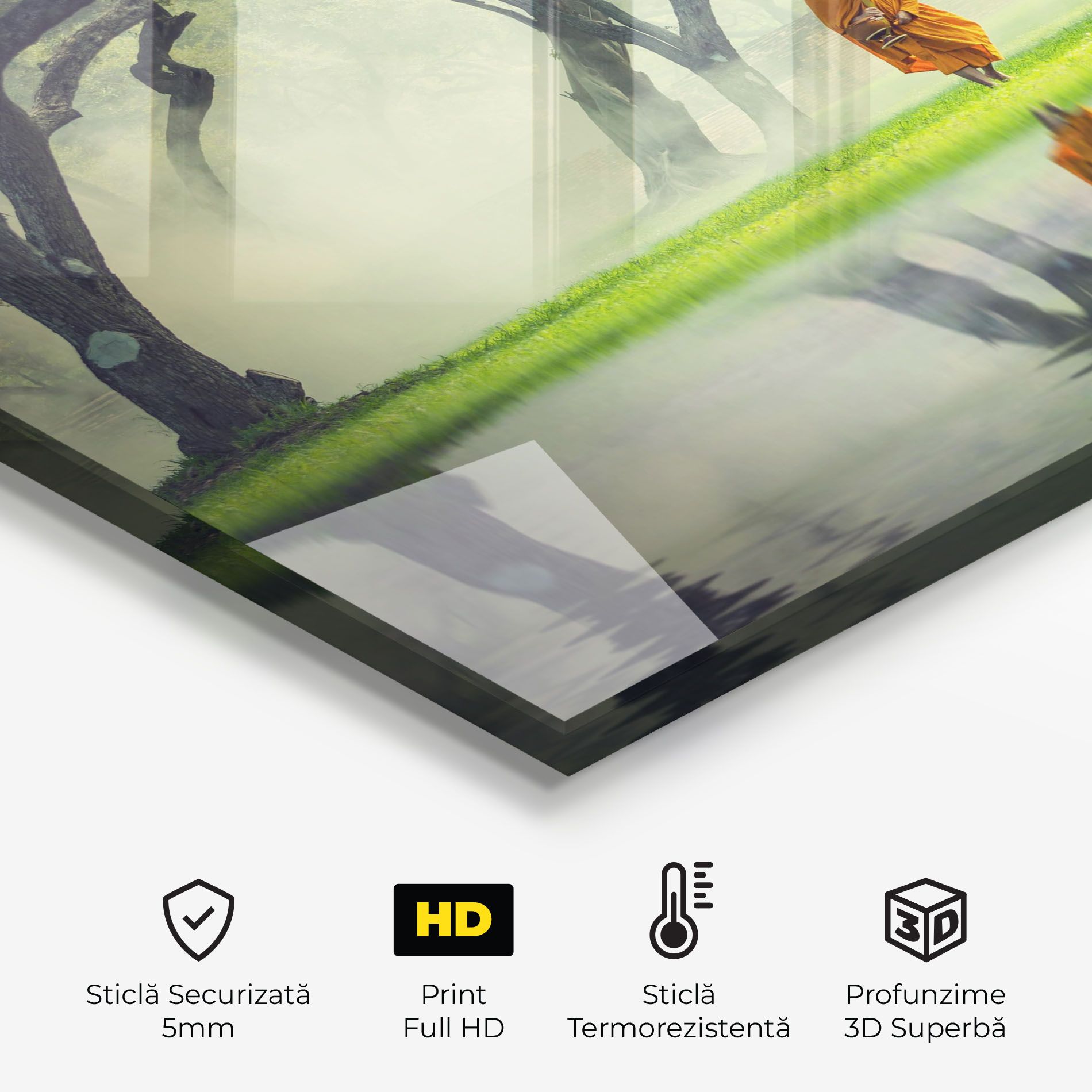 Buddha Nature mockup 2