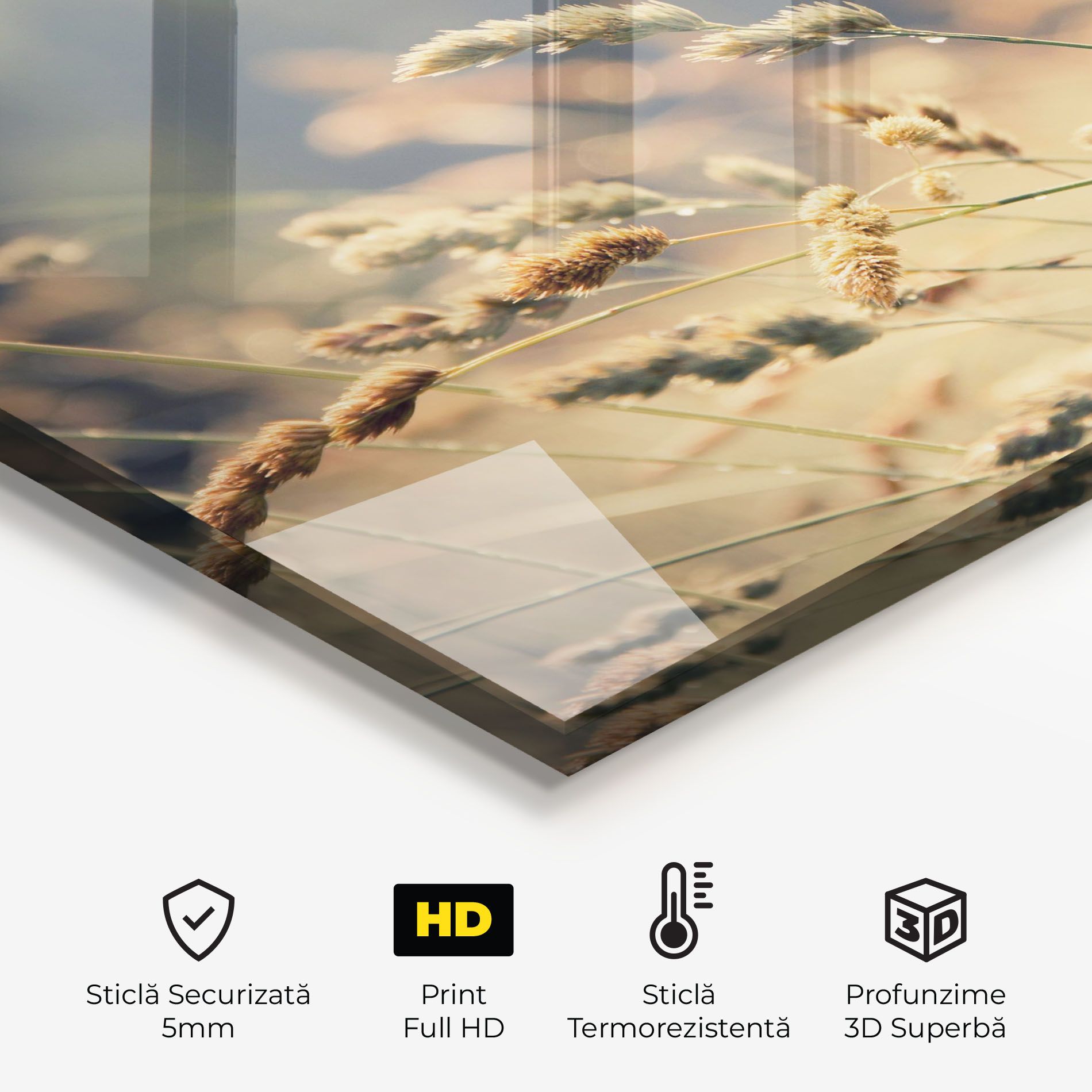 Cream Nature Plants mockup 2