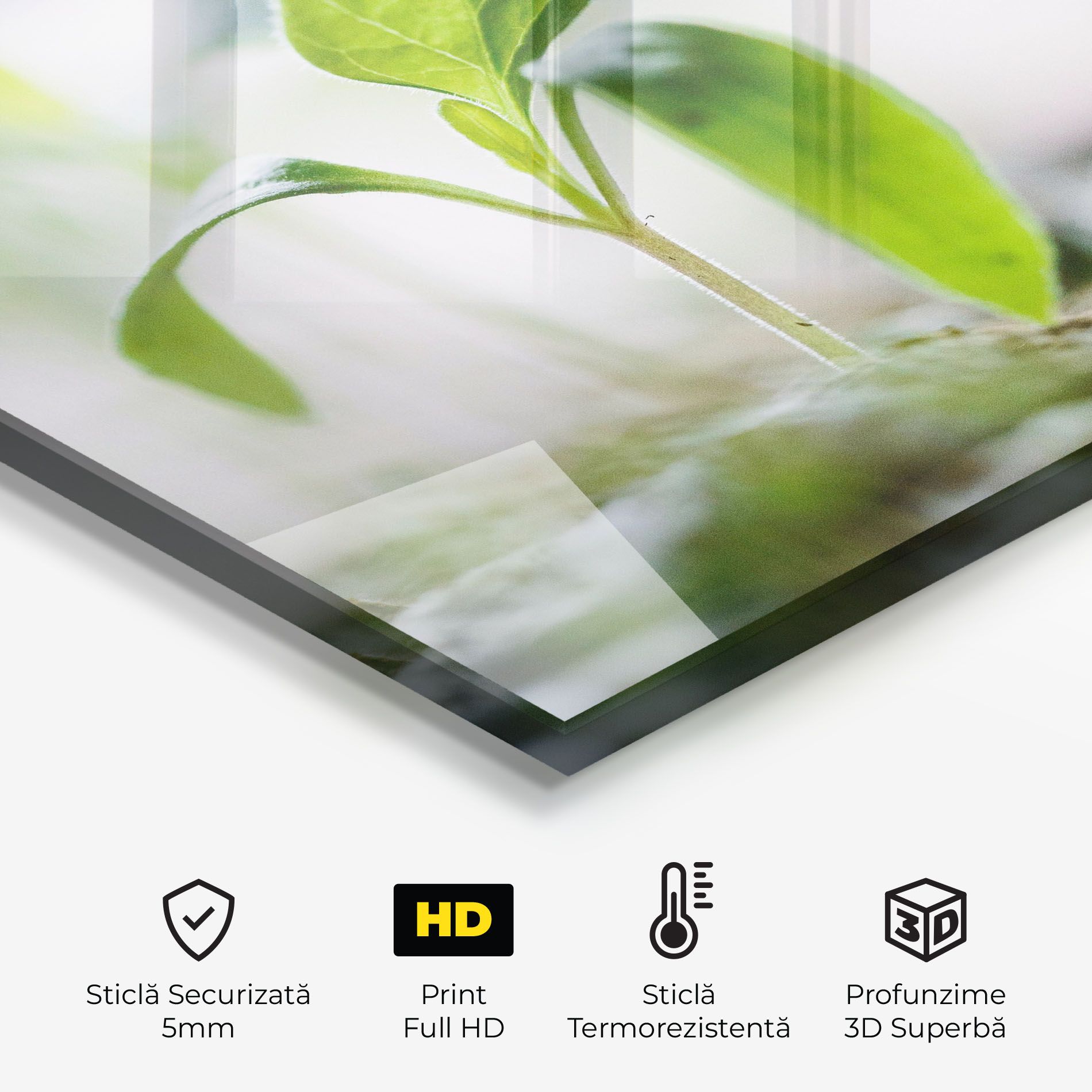 Pretty Green Plant mockup 2