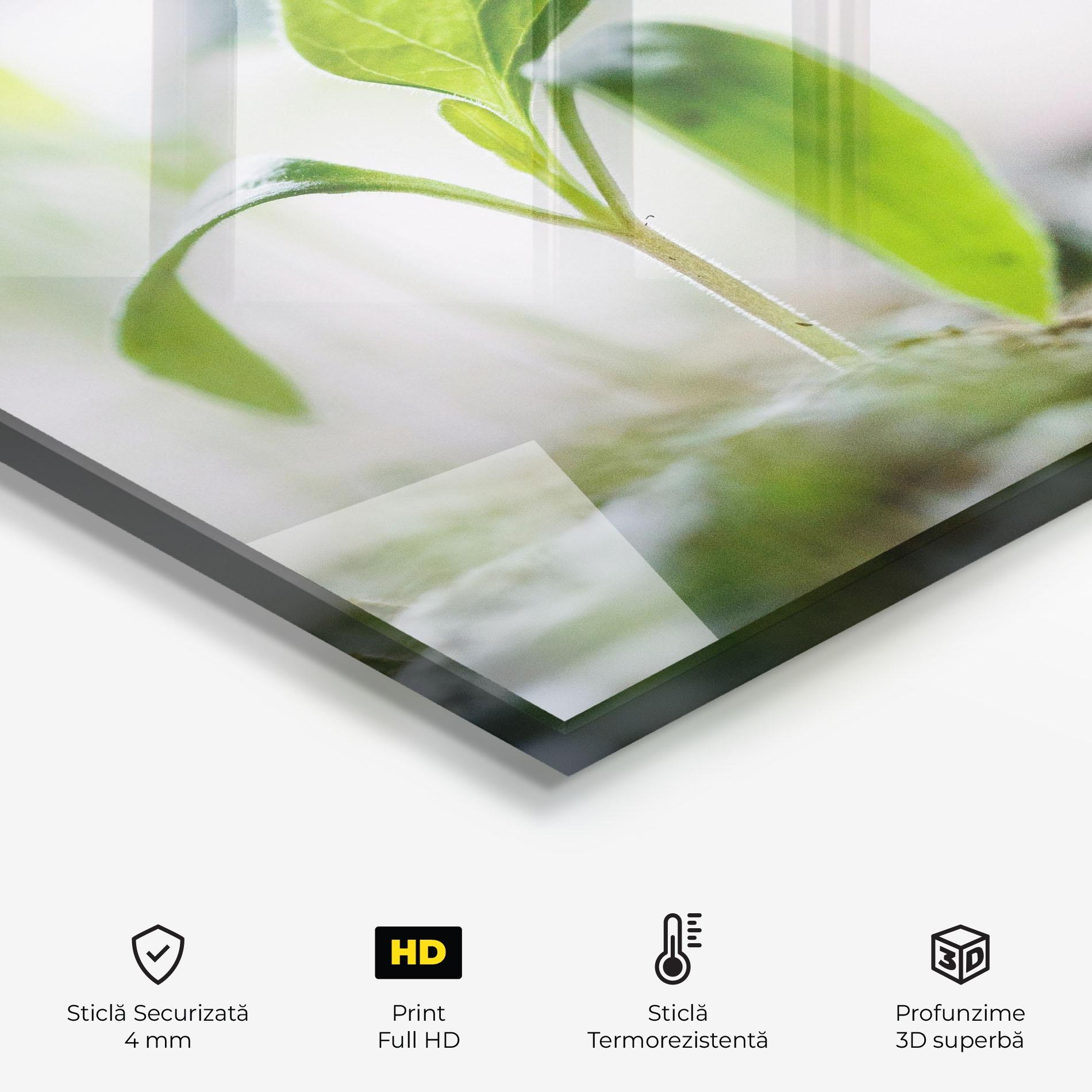 Panou Sticla Bucatarie Pretty Green Plant mockup 2