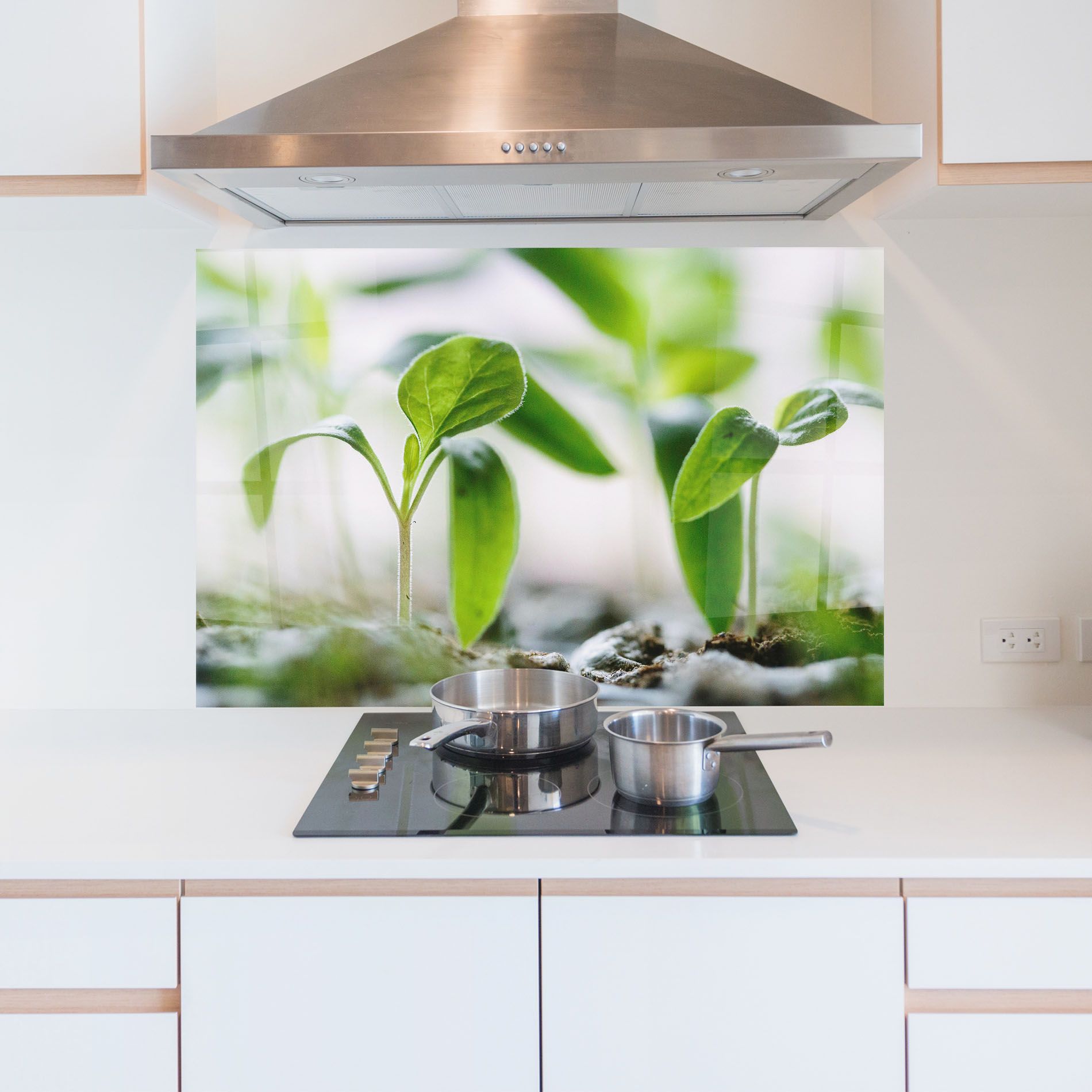 Pretty Green Plant mockup 5