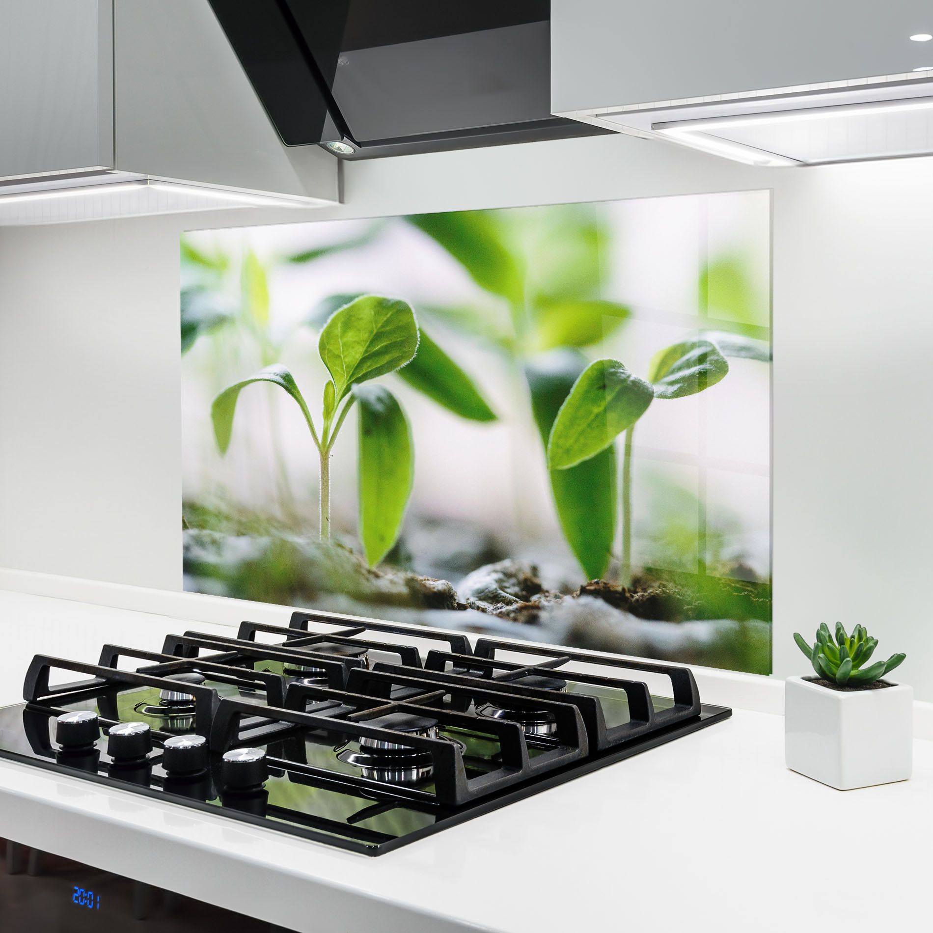 Pretty Green Plant mockup 6