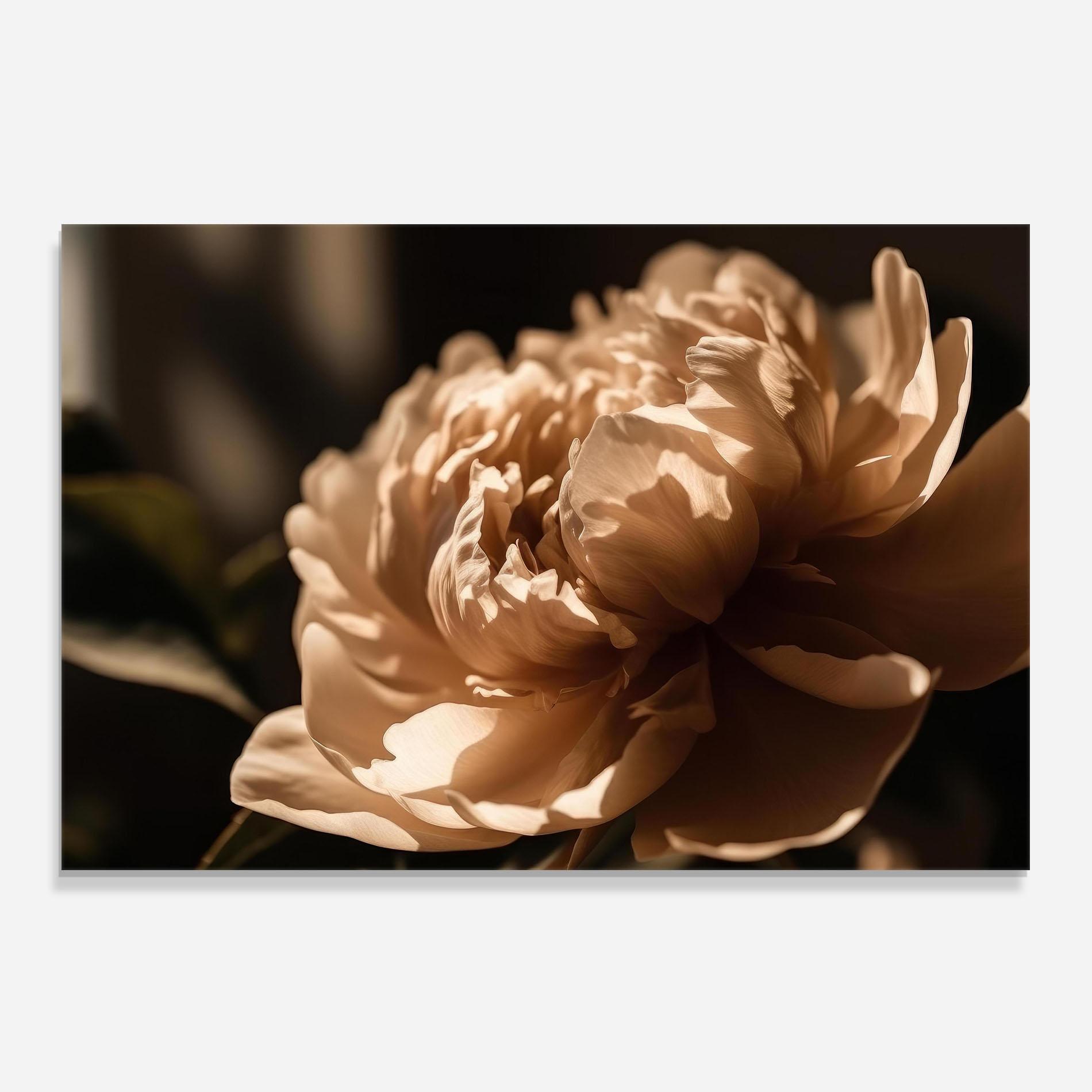 Panou Sticla Bucatarie Cream Peony mockup 0