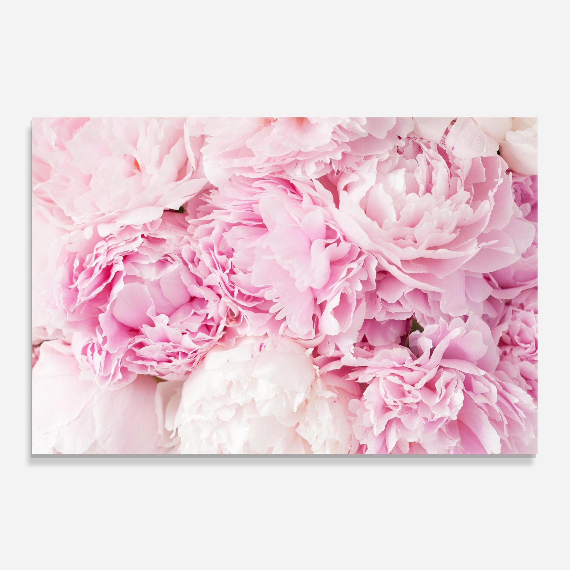 Panou Sticla Bucatarie Dreamy Pink Pastel Peony mockup 0