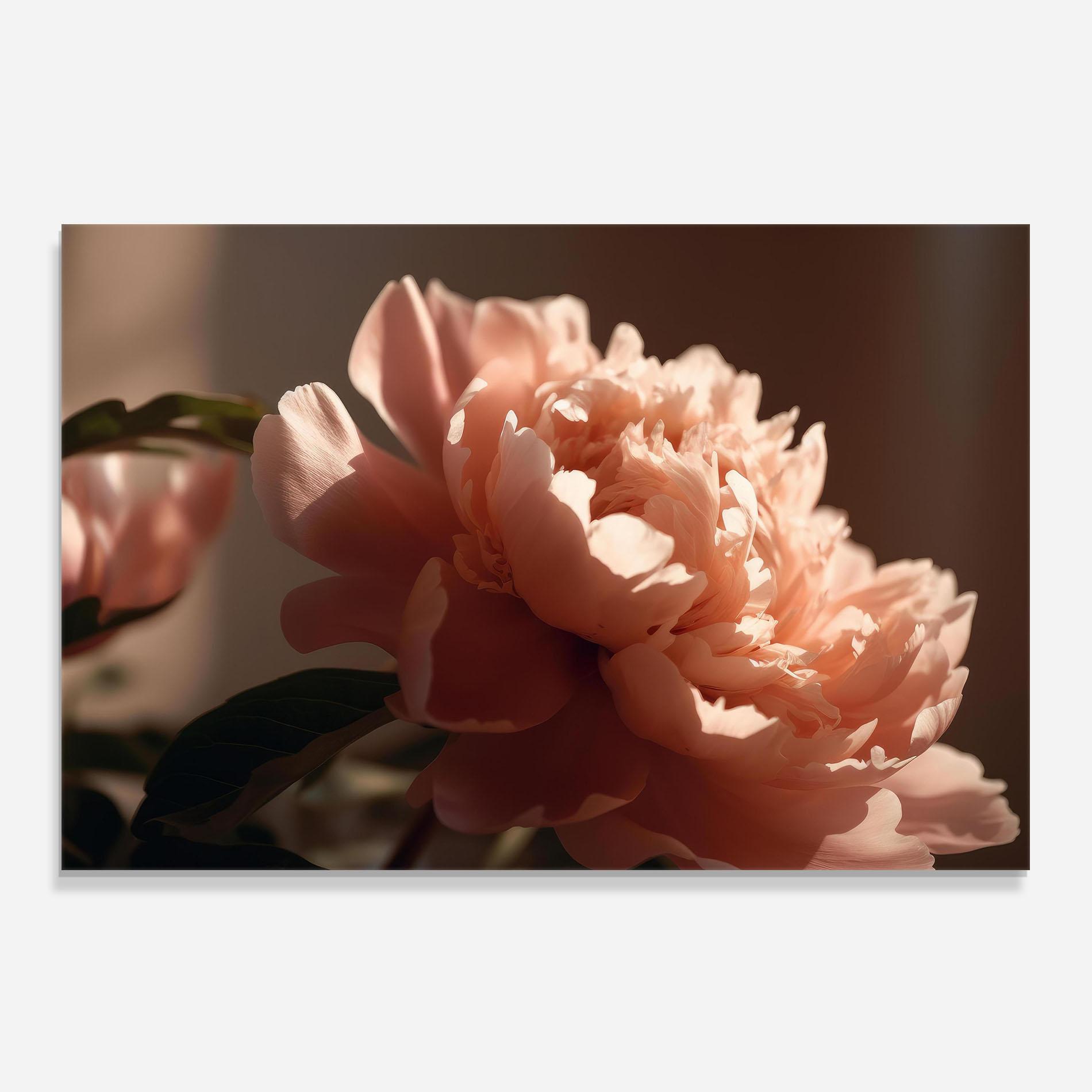 Panou Sticla Bucatarie Light Orange Peony View mockup 0