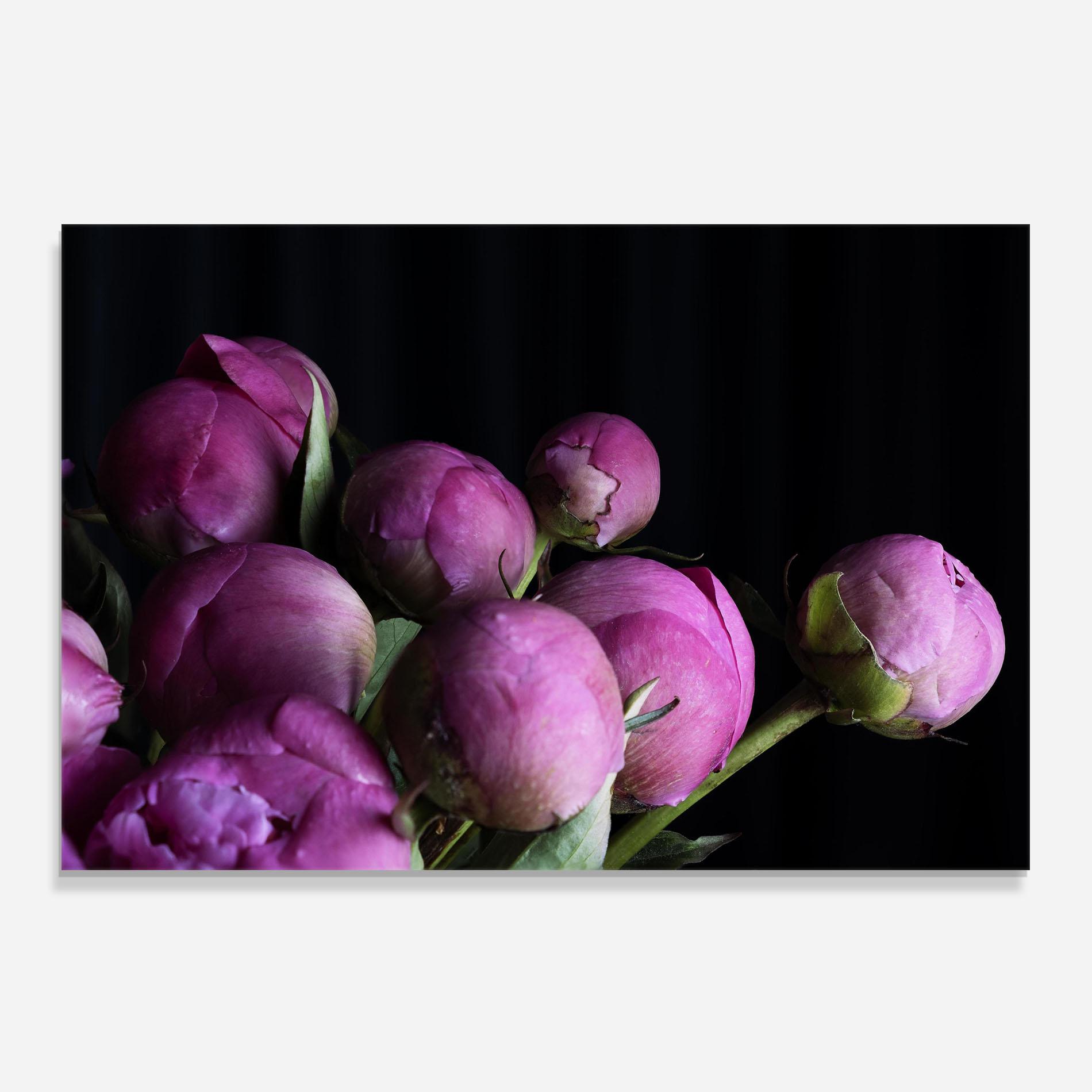 Panou Sticla Bucatarie Peony Buds mockup 0