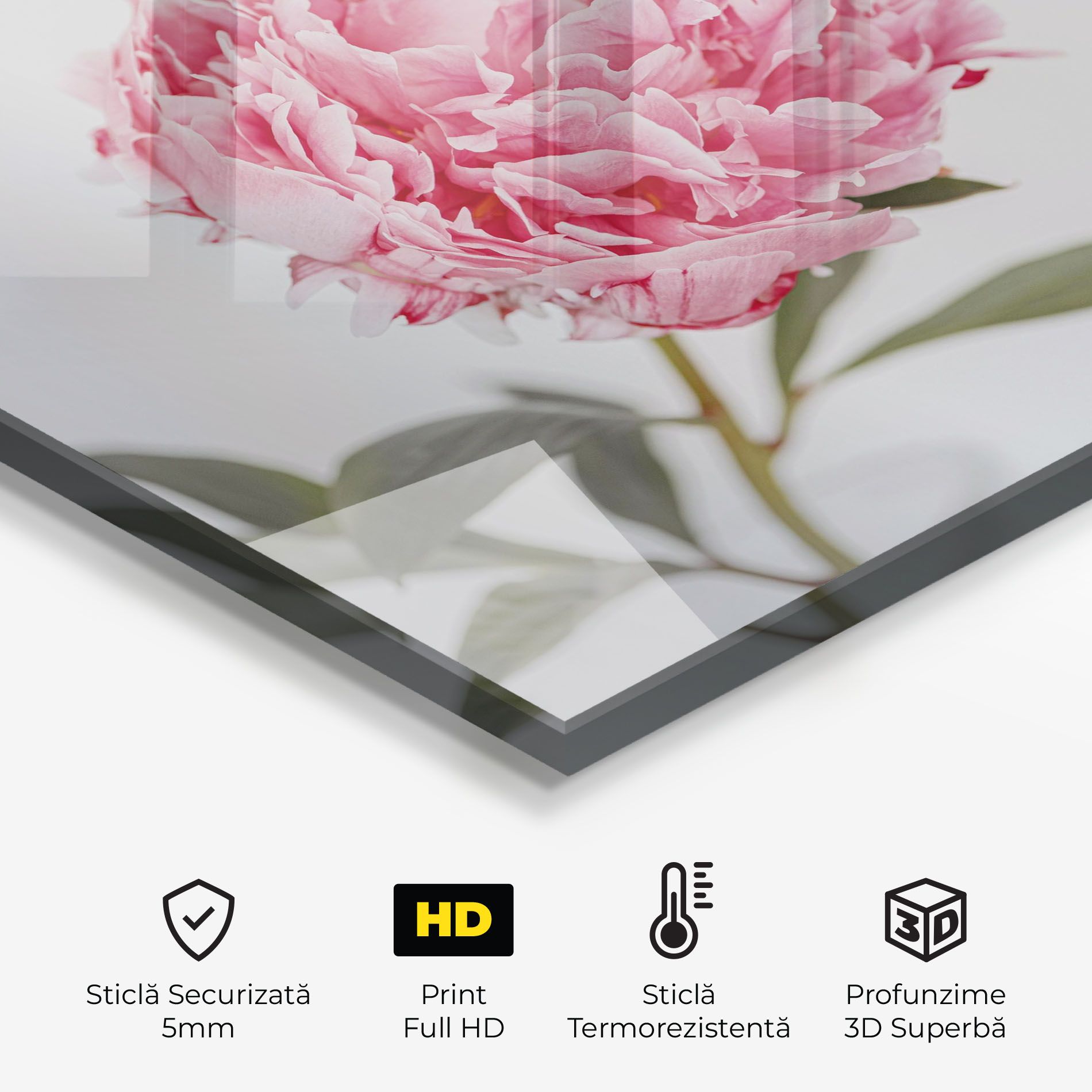 One Peony mockup 2