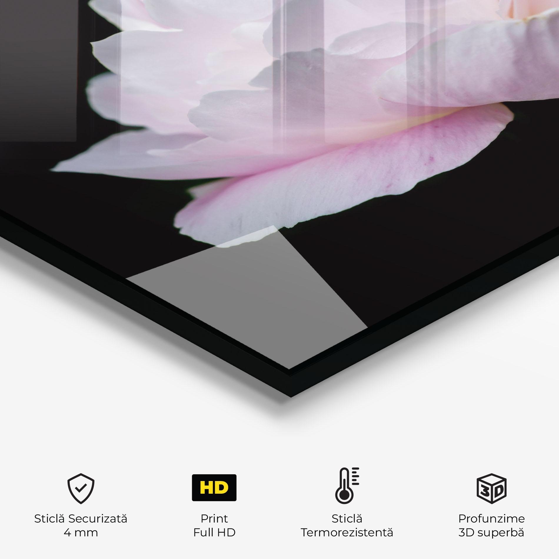 Panou Sticla Bucatarie Pastel Peony On Black mockup 2