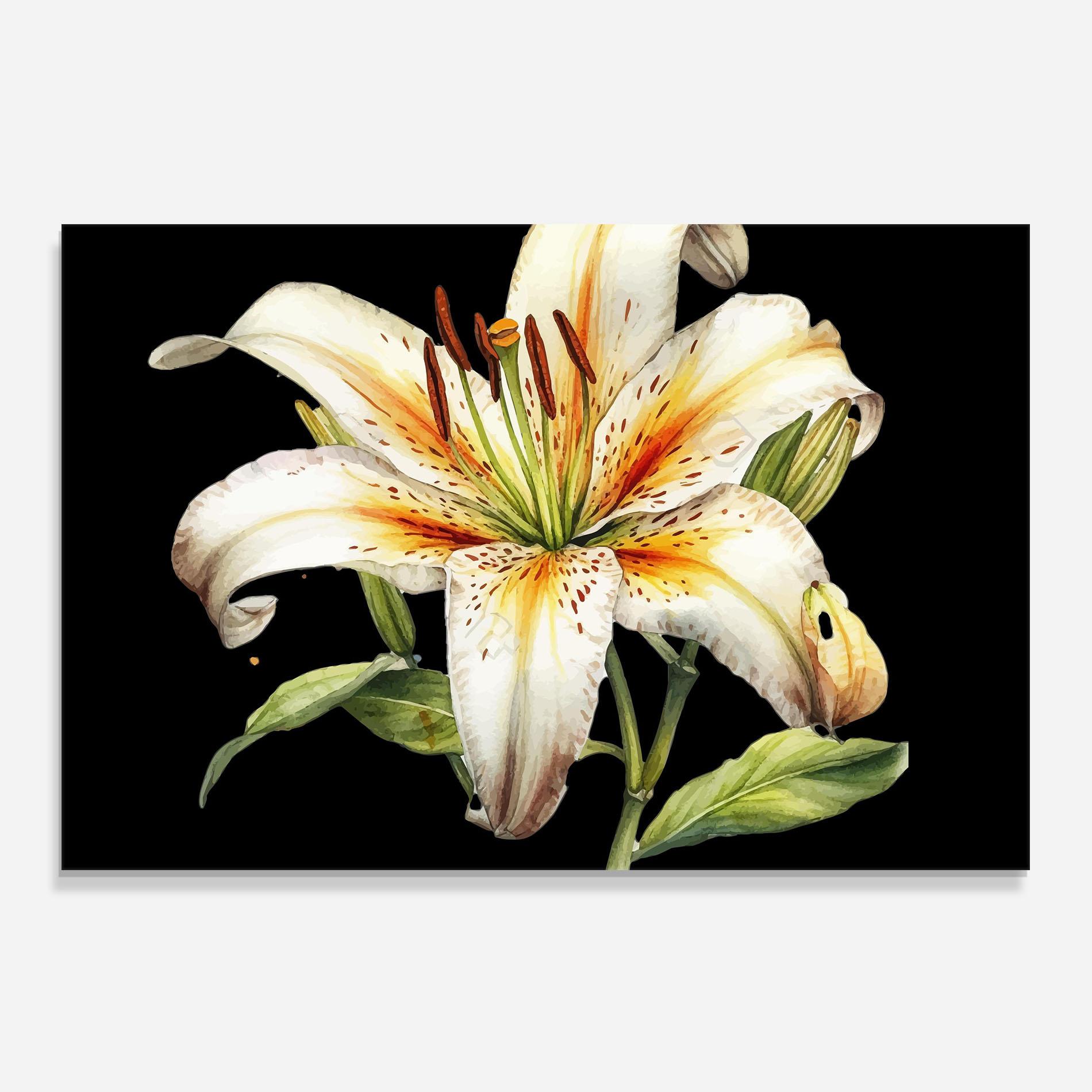 Panou Sticla Bucatarie Beautiful White Lily mockup 0