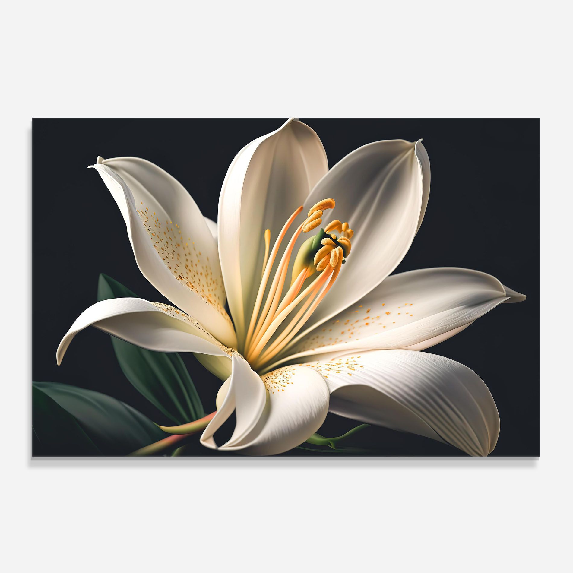Big Lily View mockup 0