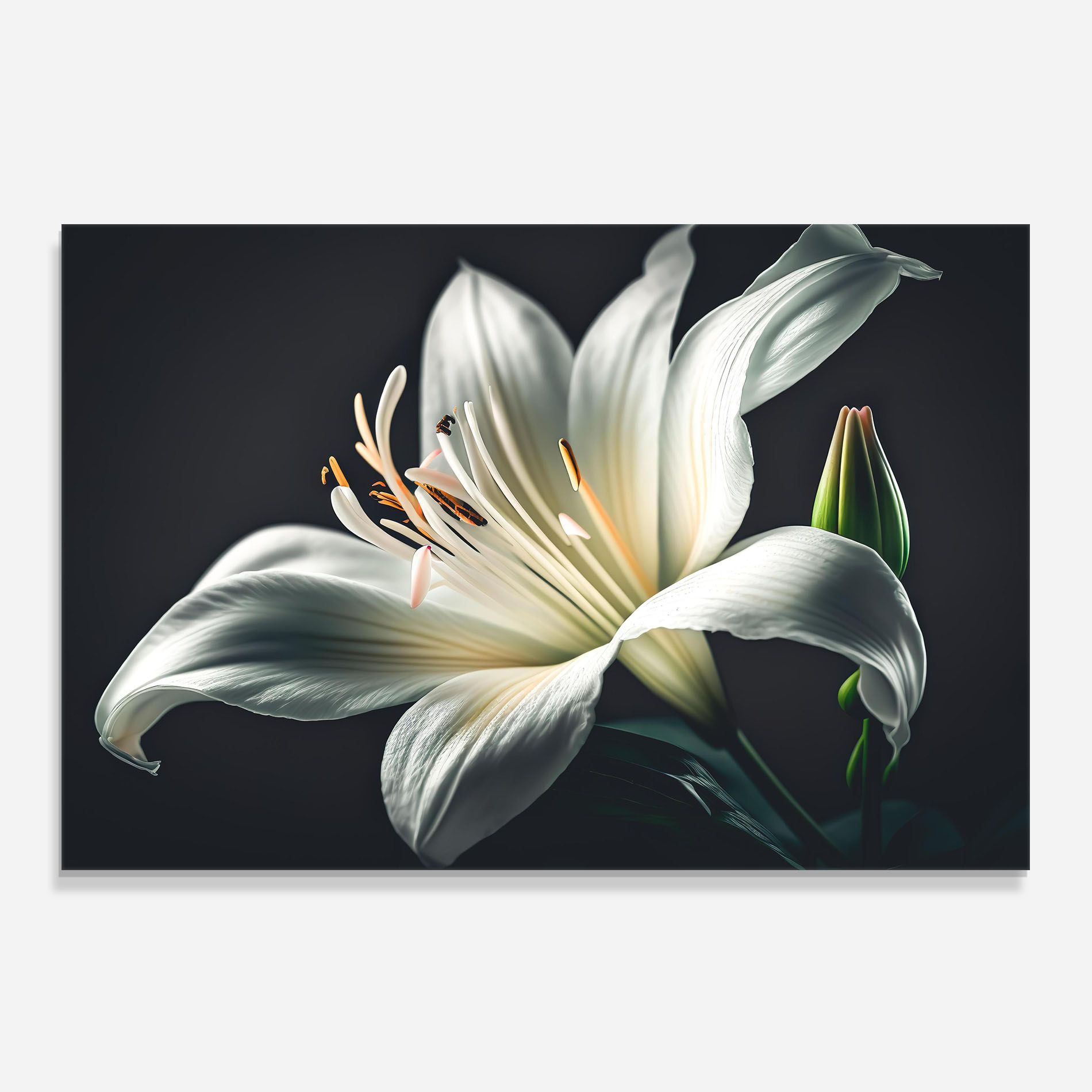Light Grey Lily mockup 0