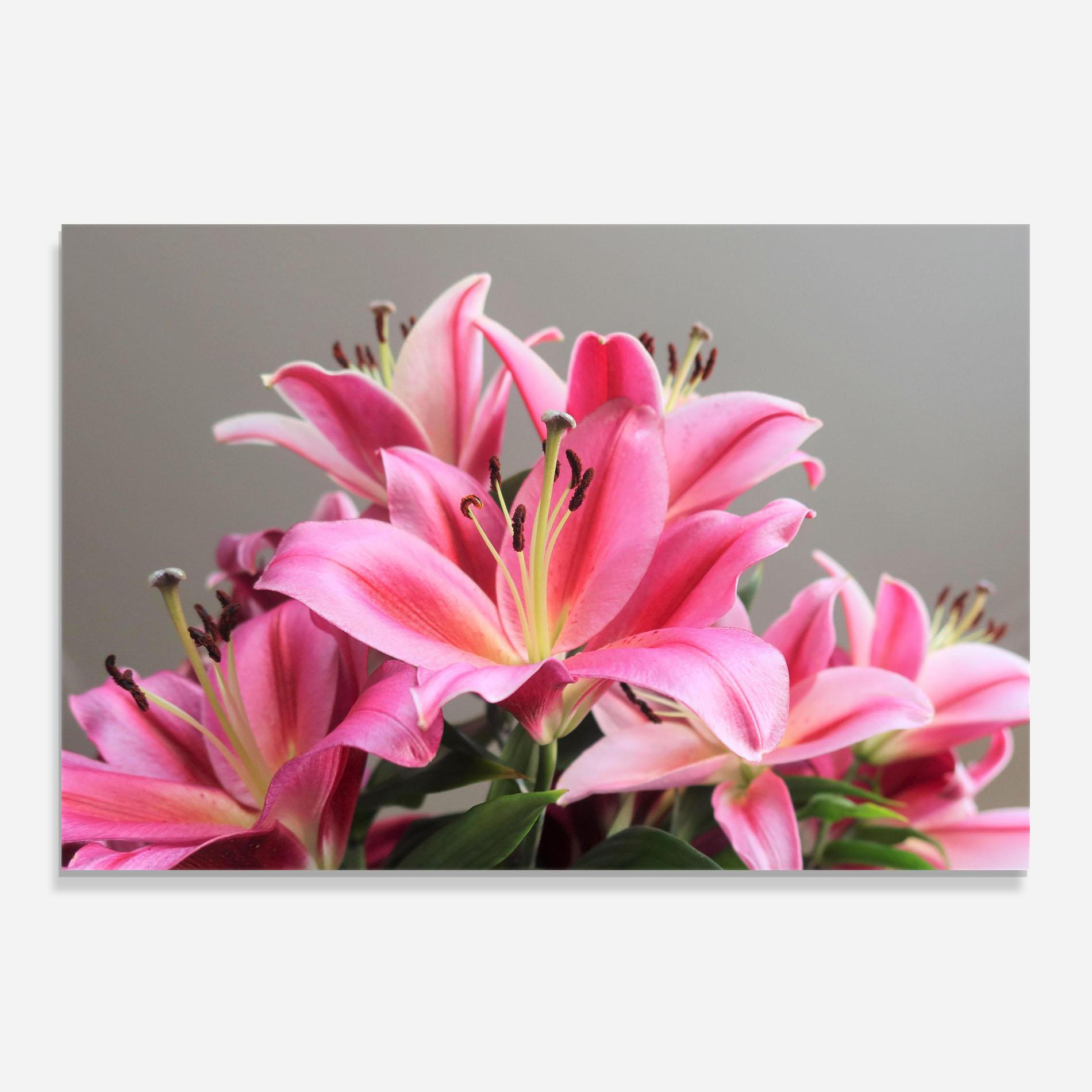 Panou Sticla Bucatarie Light Pink Lily View mockup 0