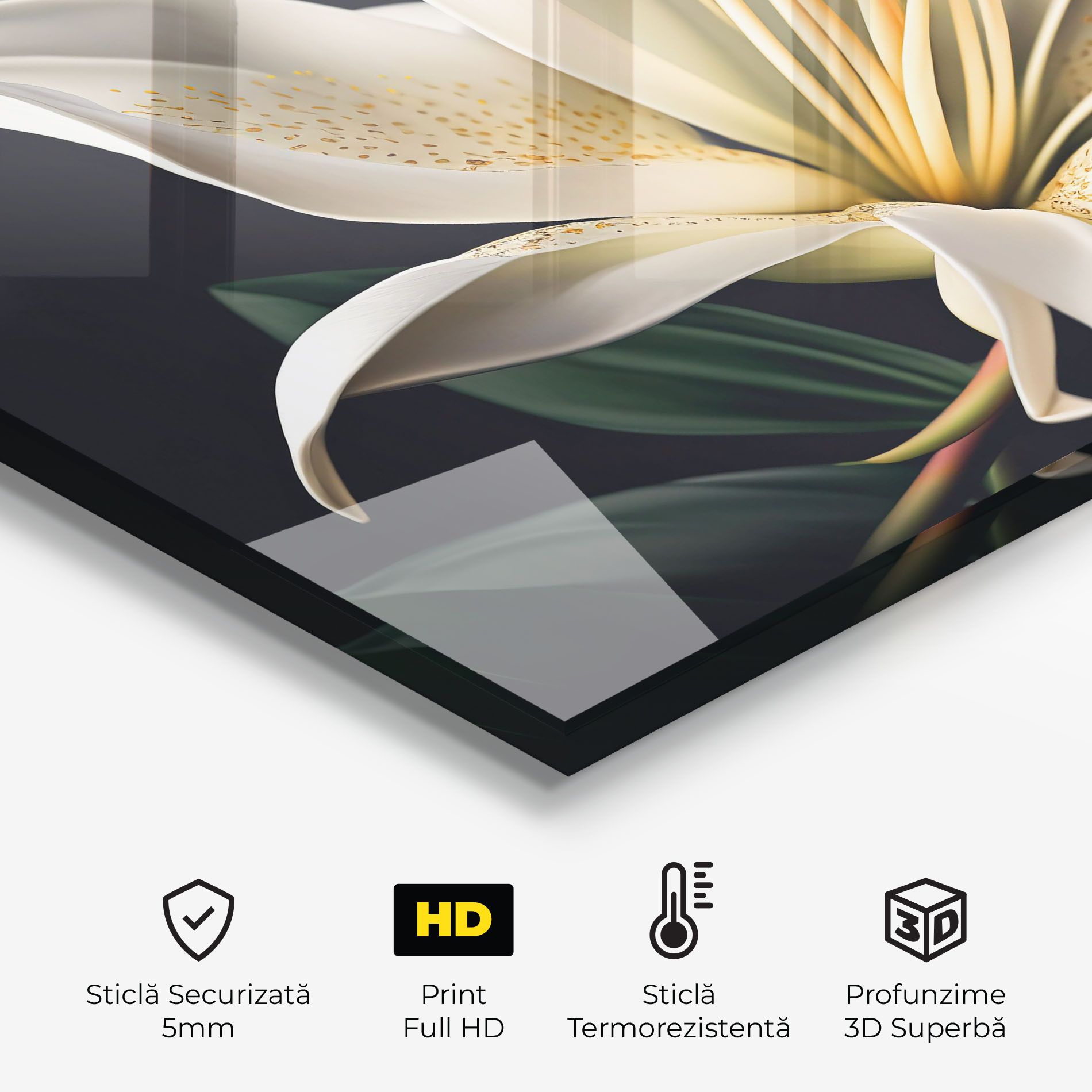 Big Lily View mockup 2