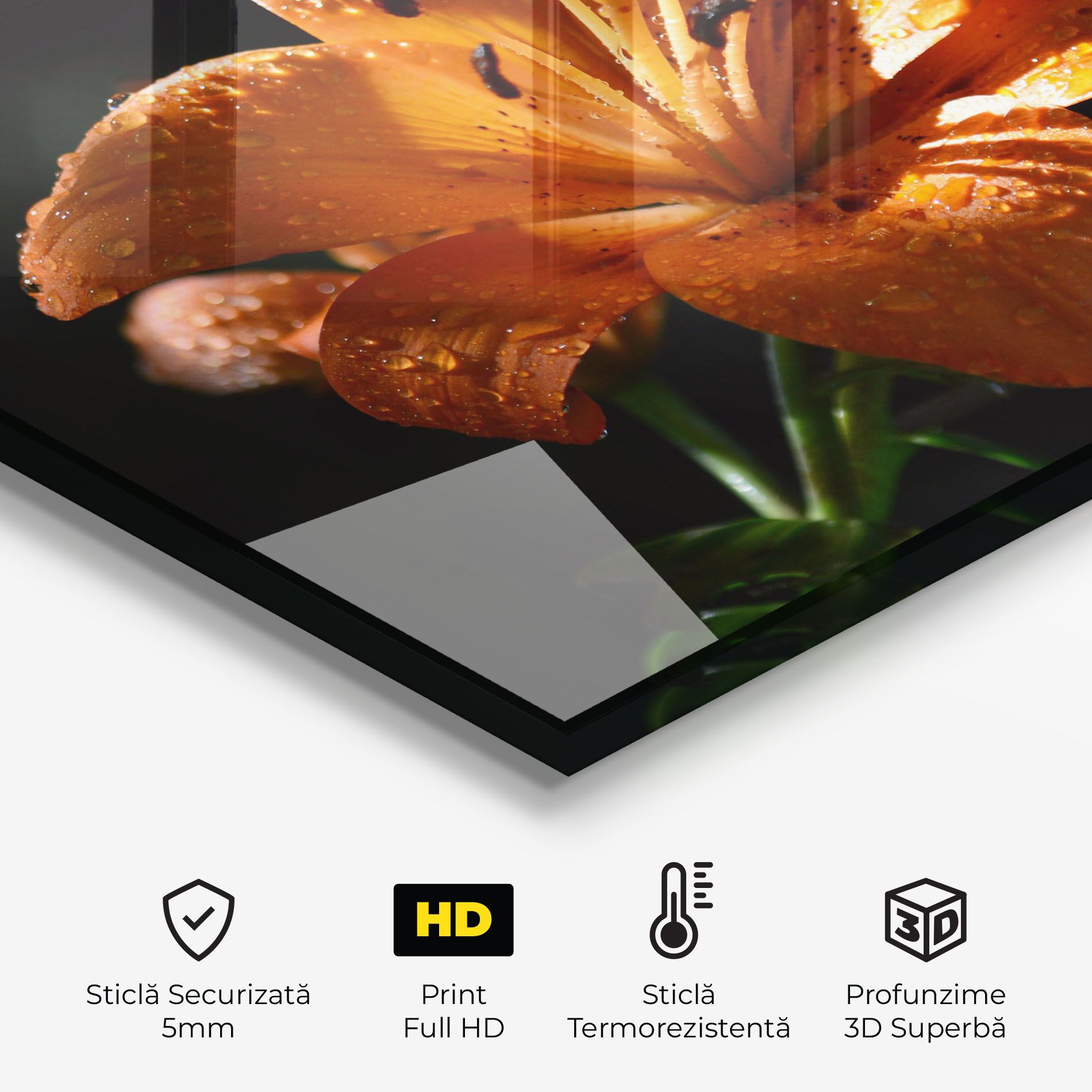 Open Orange Lily On Black mockup 2