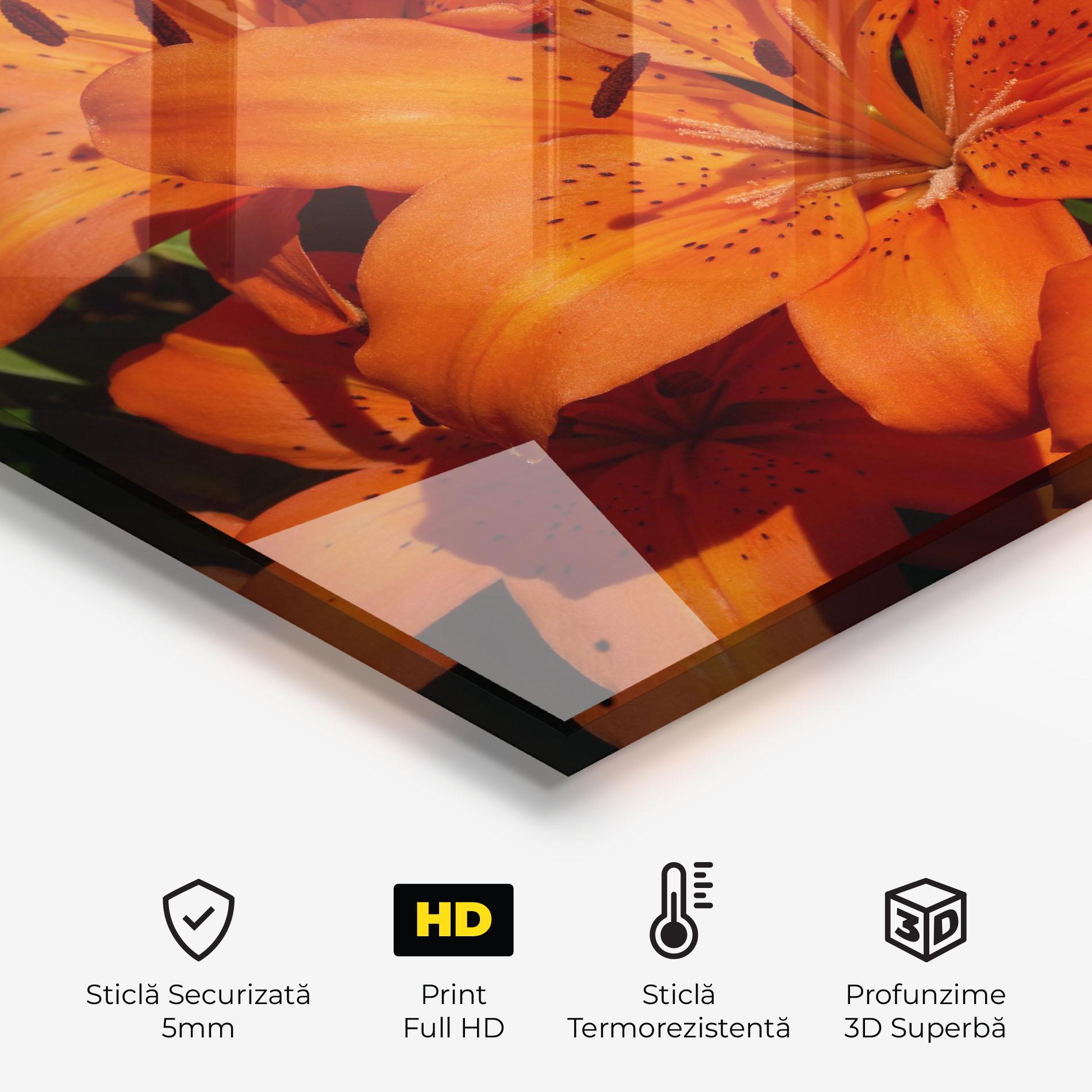 Panou Sticla Bucatarie Orange Lily In The Sun mockup 2