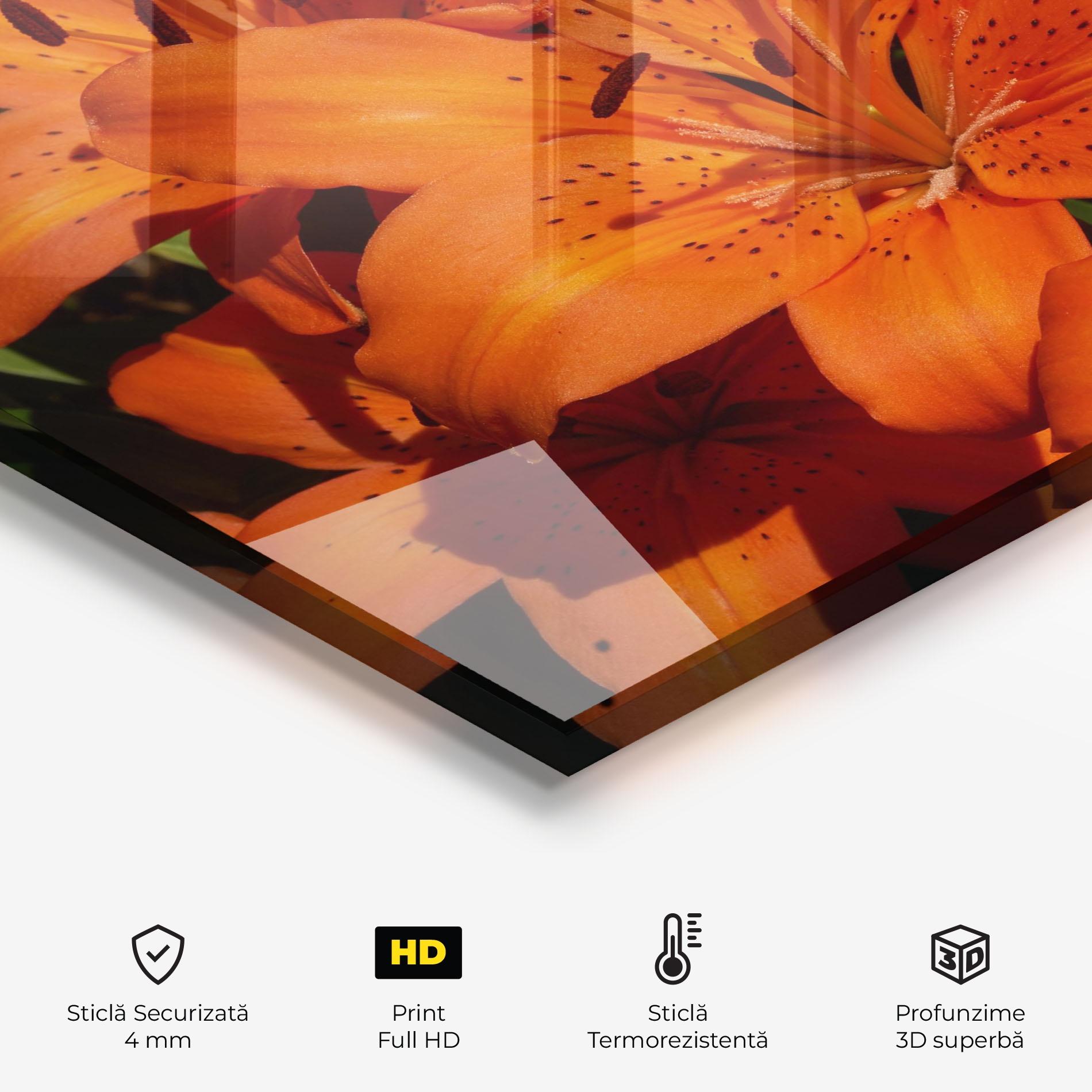 Panou Sticla Bucatarie Orange Lily In The Sun mockup 2
